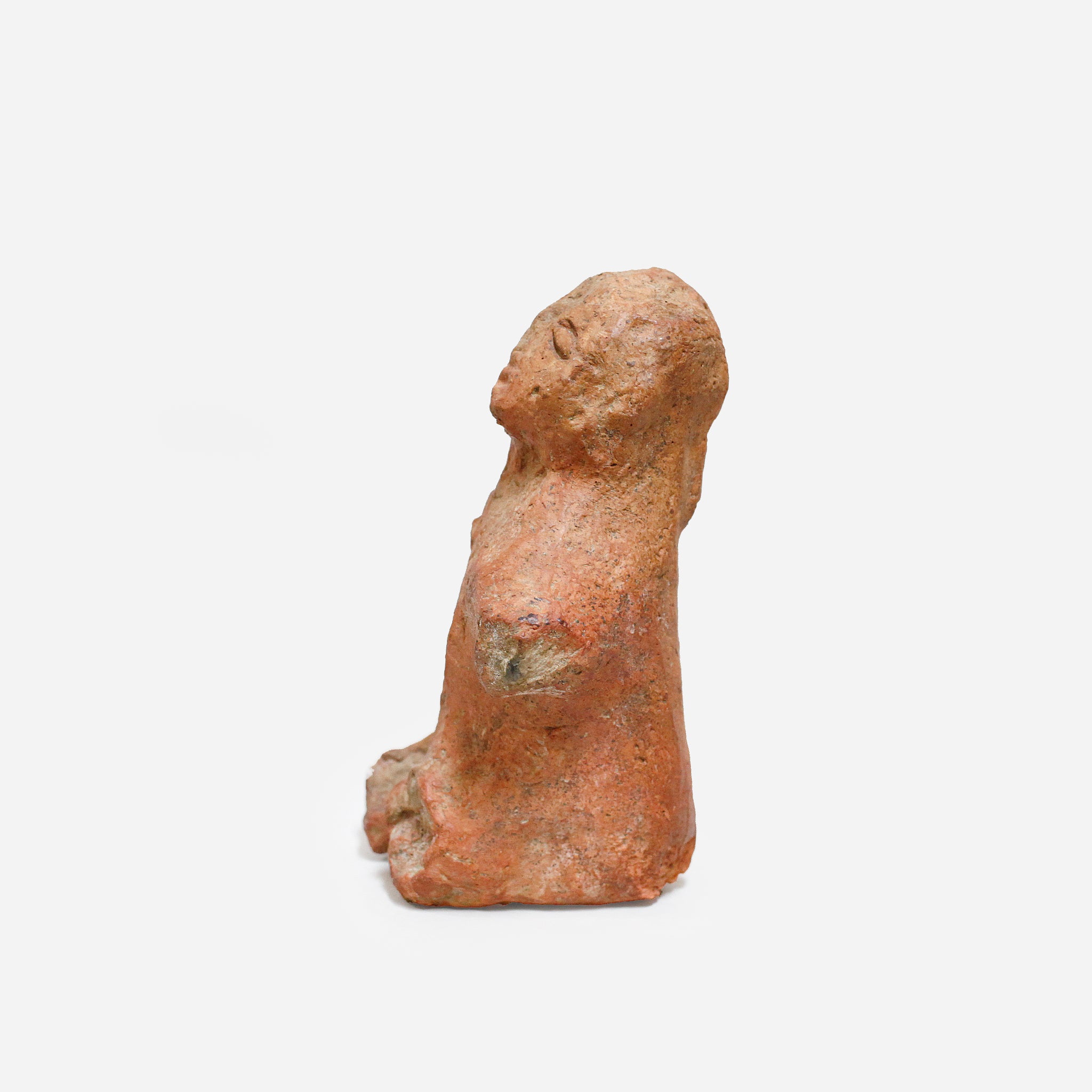 バンコニ 発見されたぐにぐに o_210