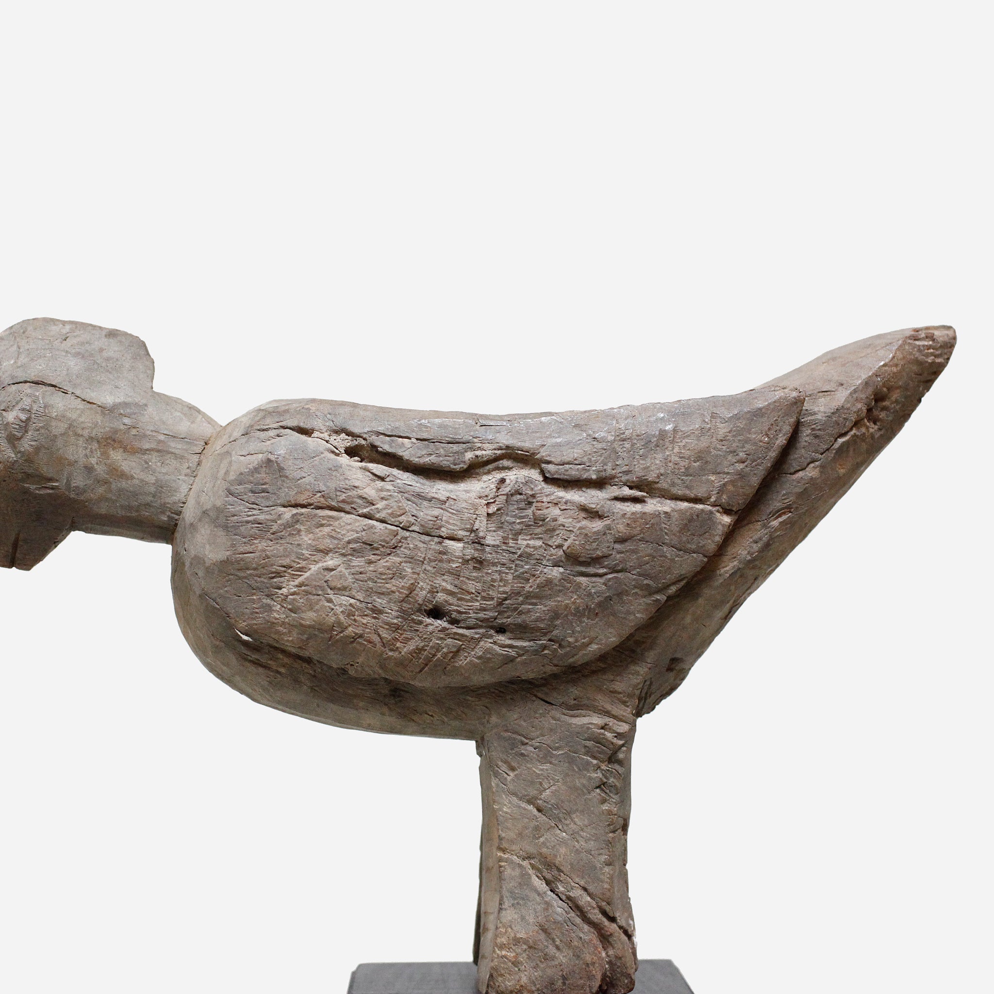 ロビ おじぎをしている鳥像 f_135