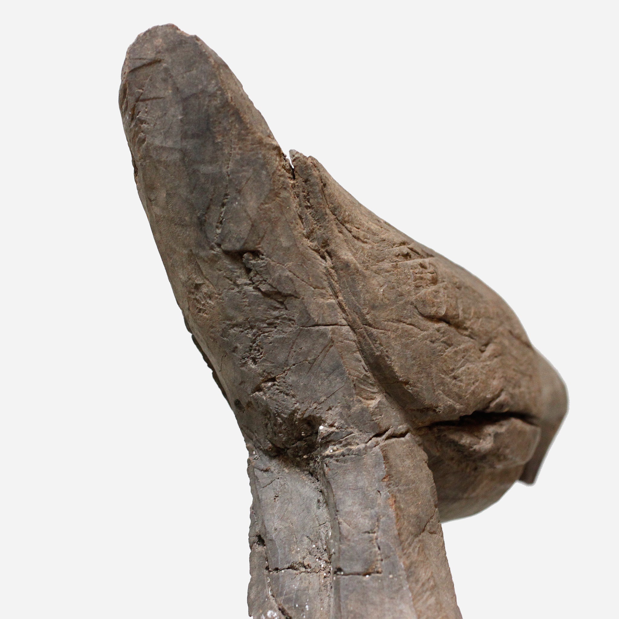 ロビ おじぎをしている鳥像 f_135