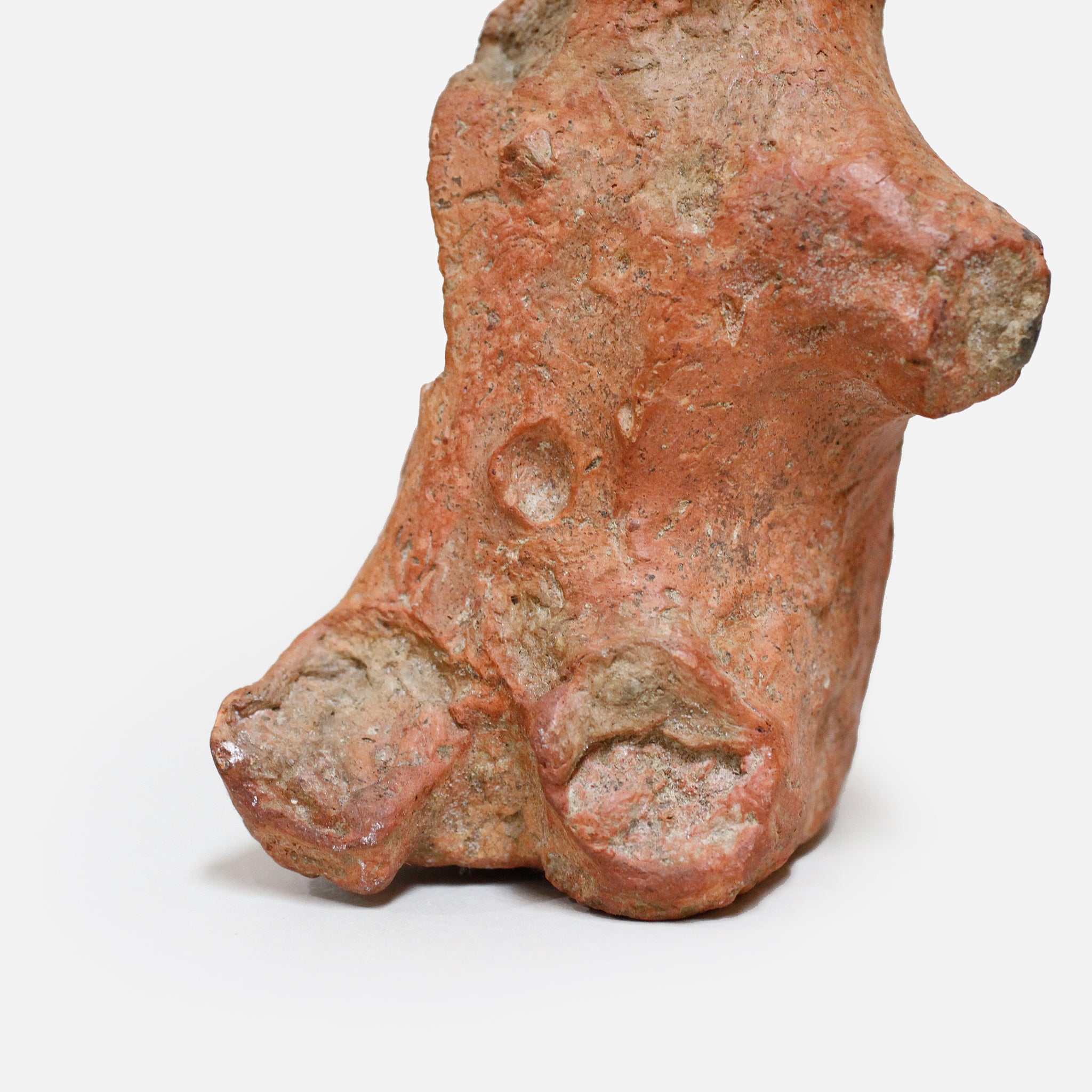 バンコニ 発見されたぐにぐに o_210