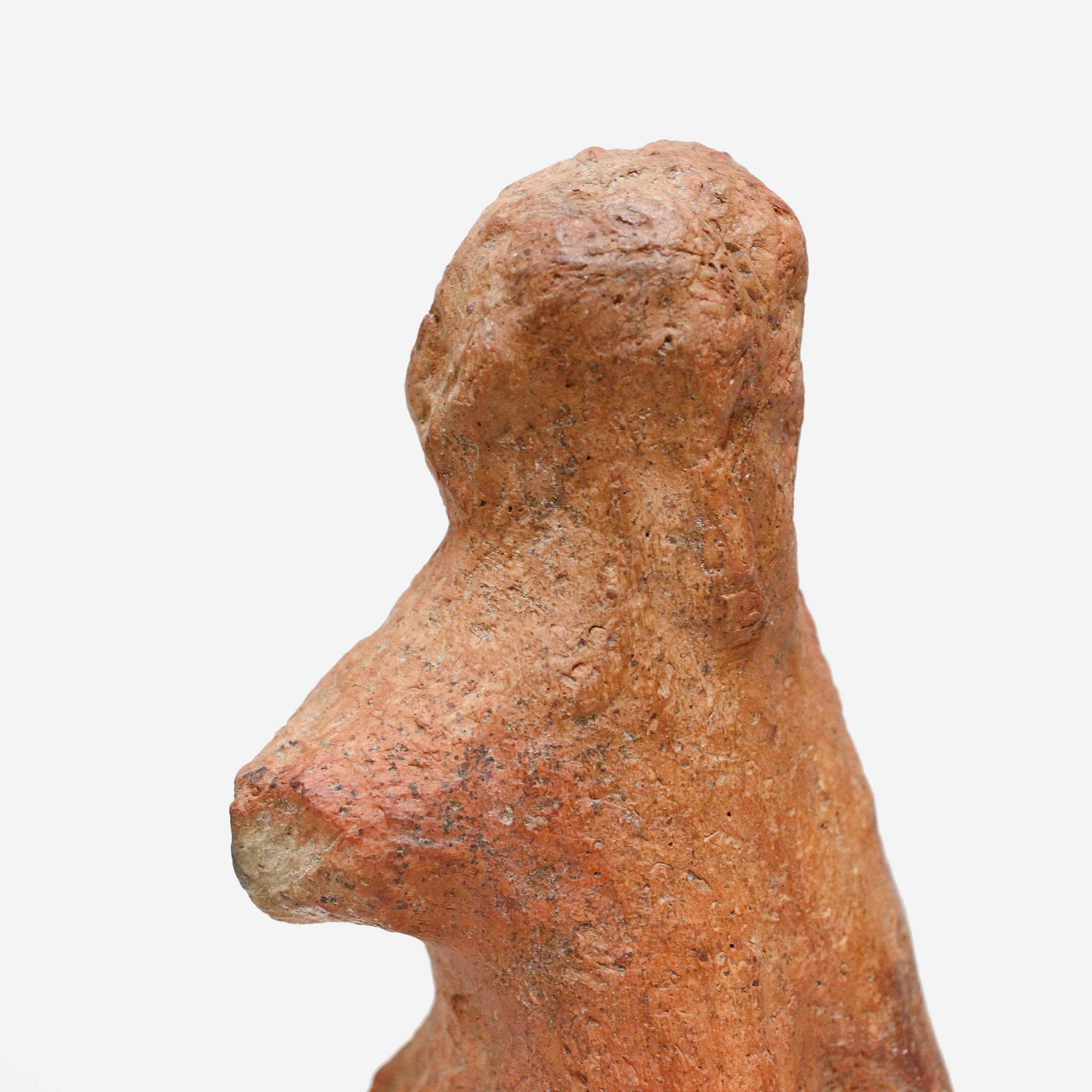 バンコニ 発見されたぐにぐに o_210