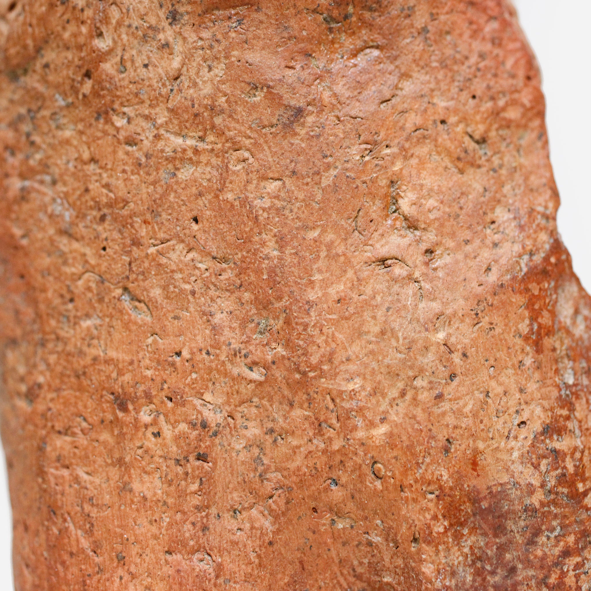 バンコニ 発見されたぐにぐに o_210