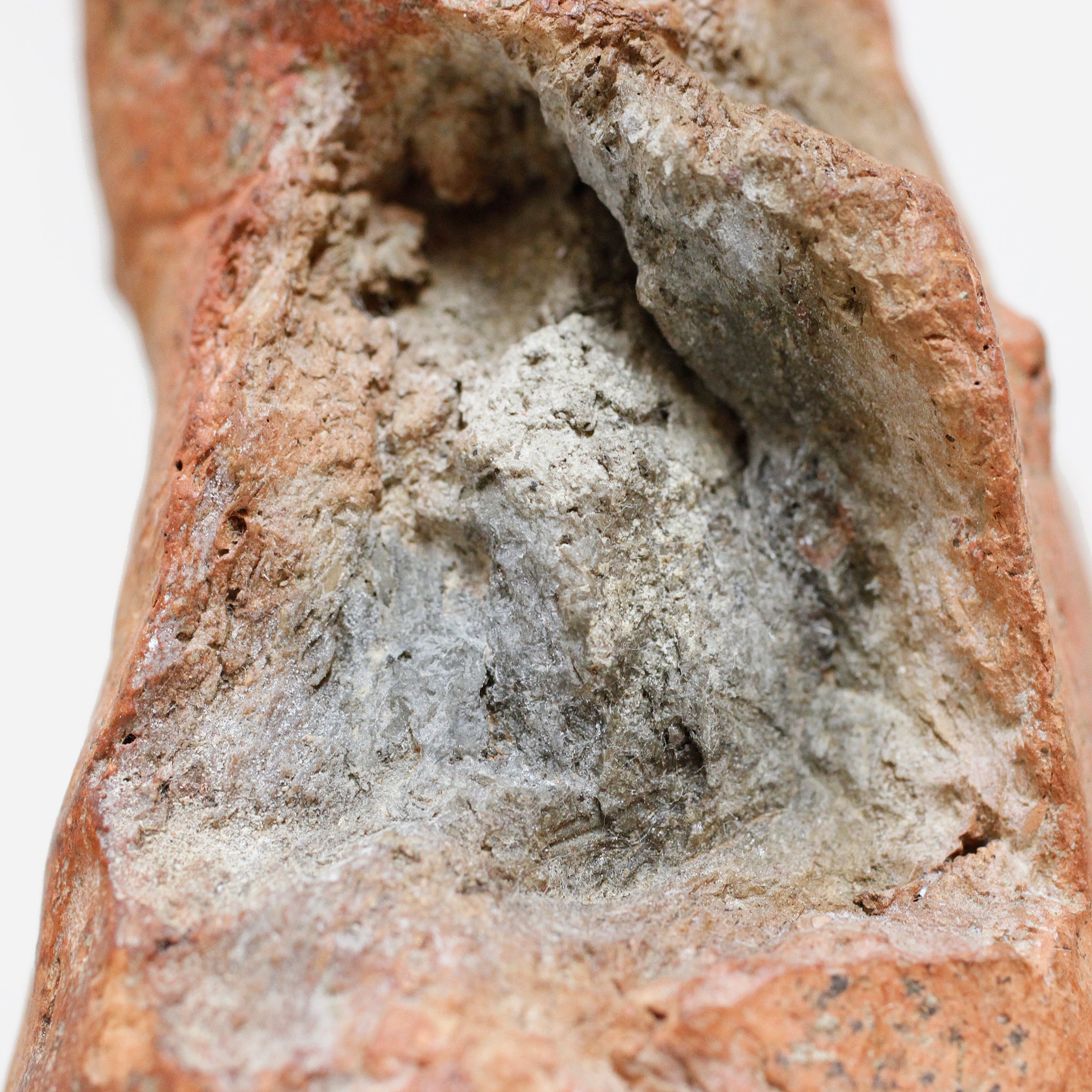 バンコニ 発見されたぐにぐに o_210