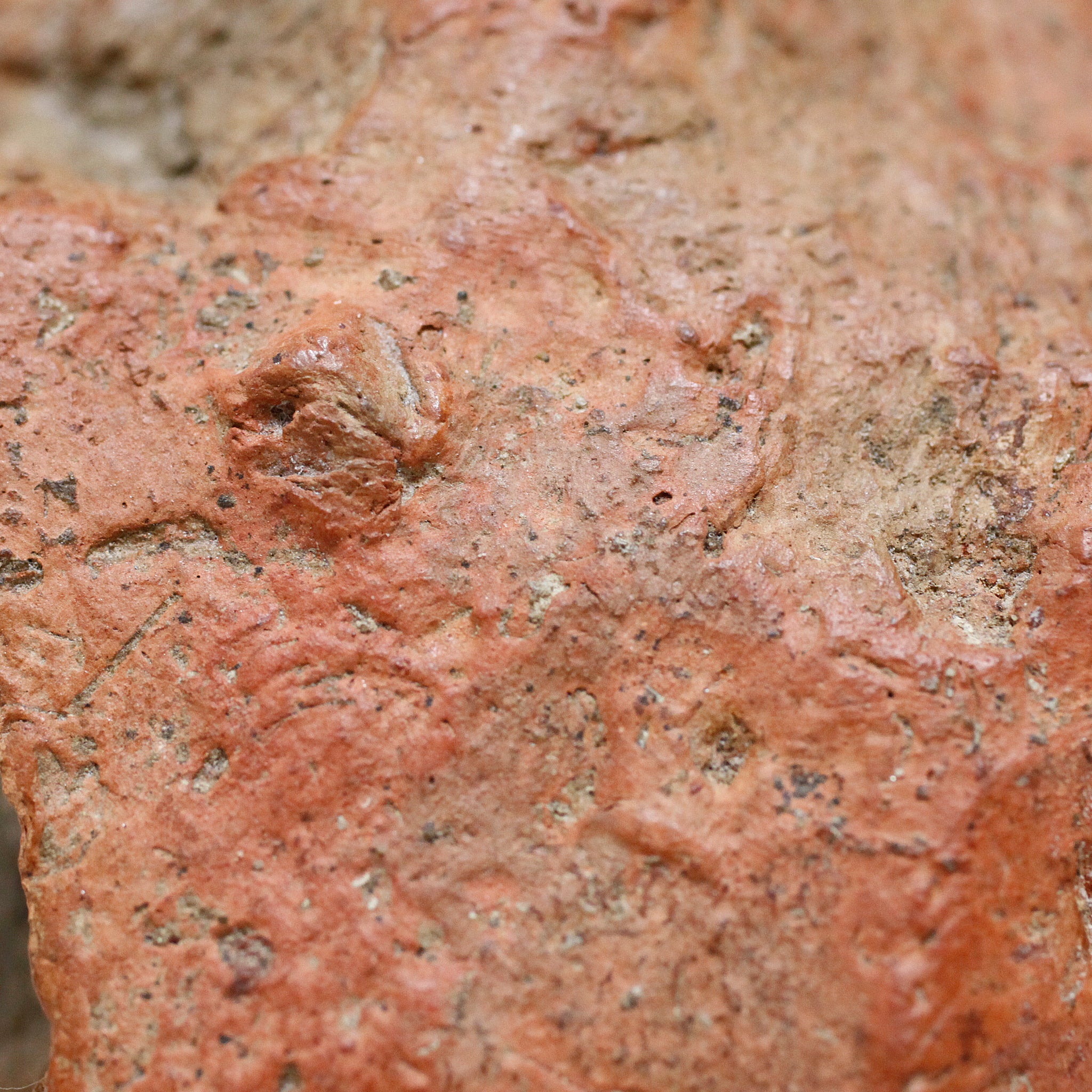 バンコニ 発見されたぐにぐに o_210