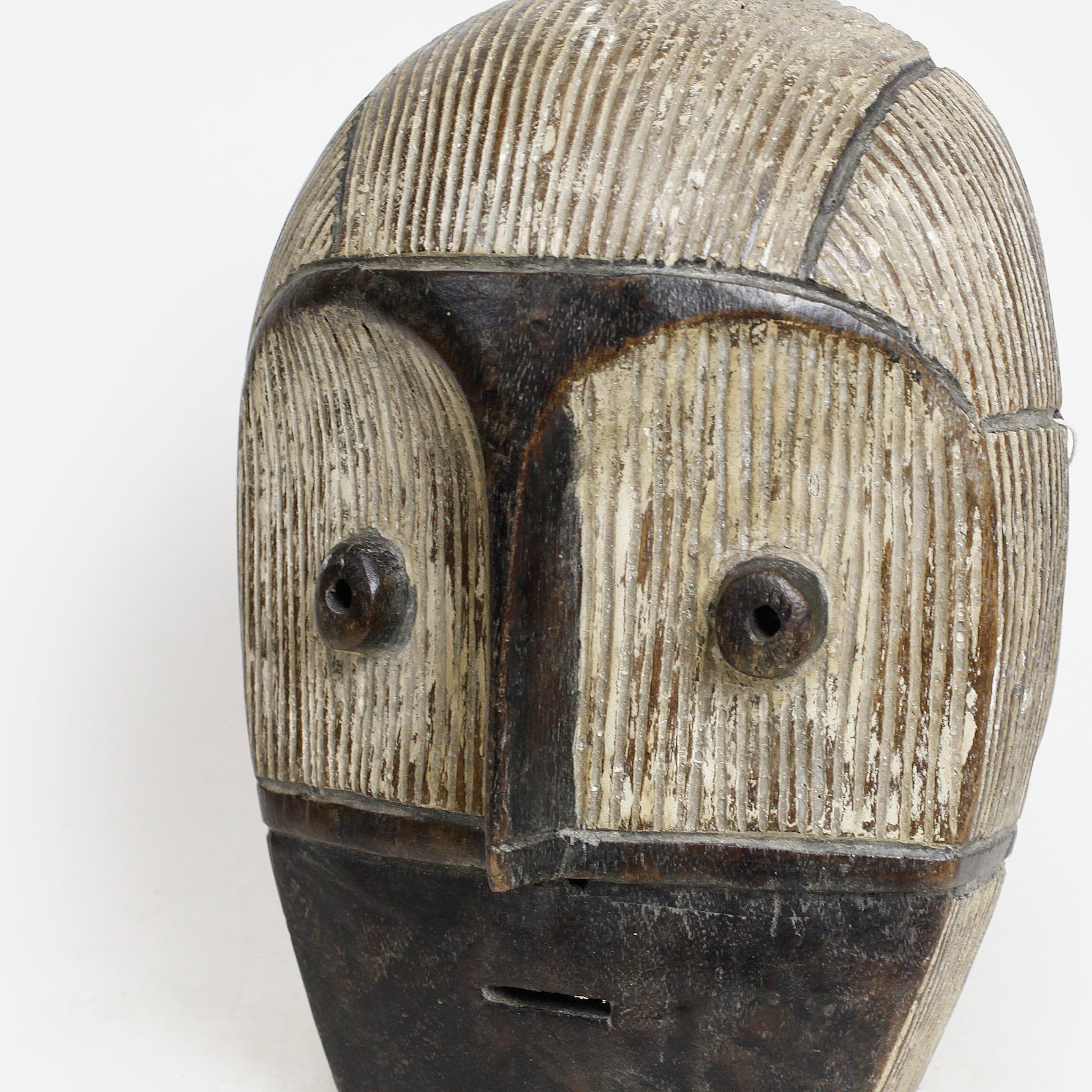 メトコ ンドゥク as3_14