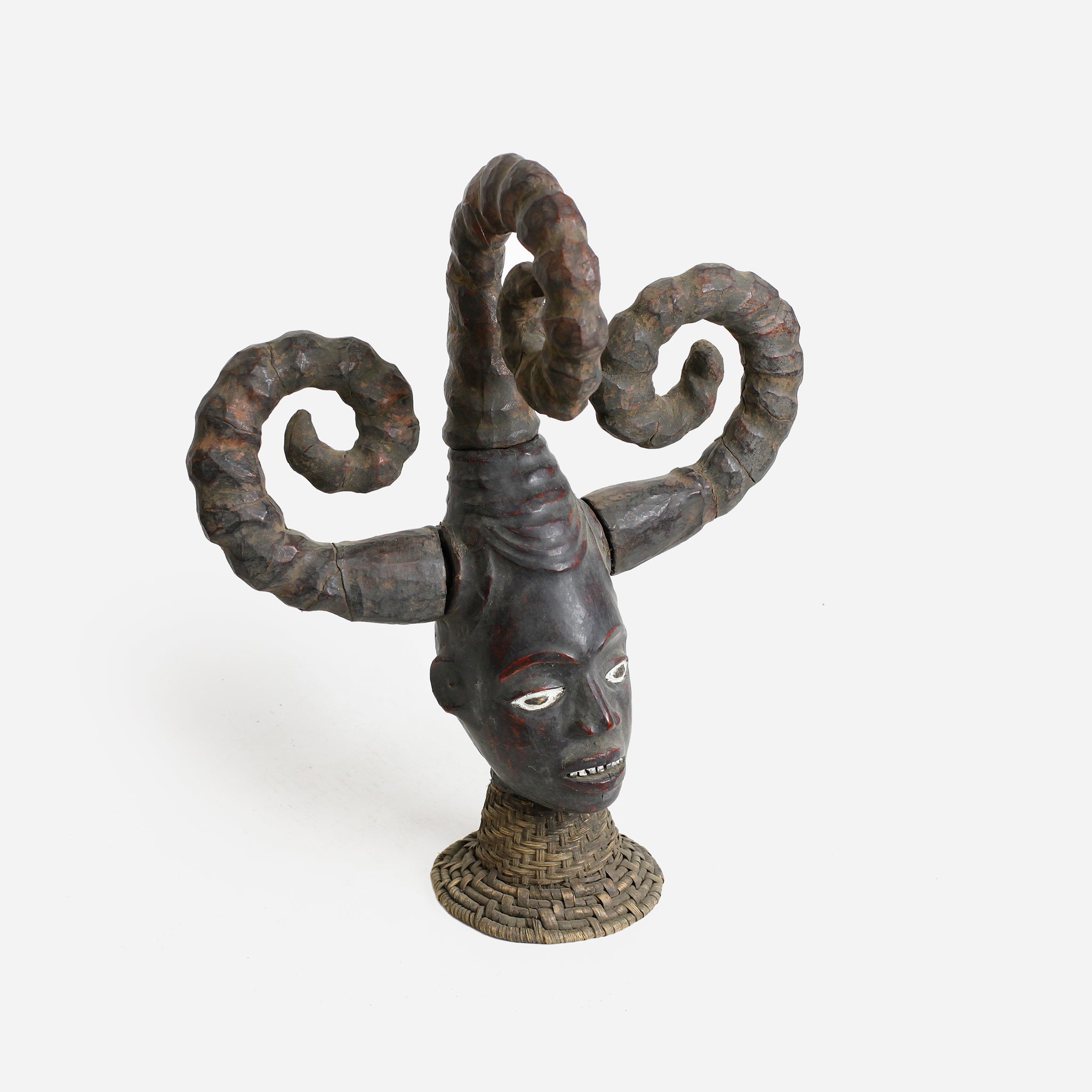 エコイ メドゥーサヘッド as3_16