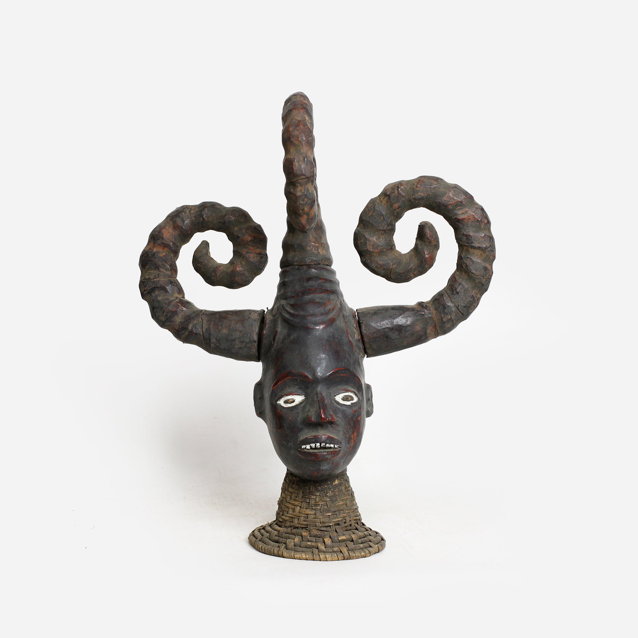 エコイ メドゥーサヘッド as3_16