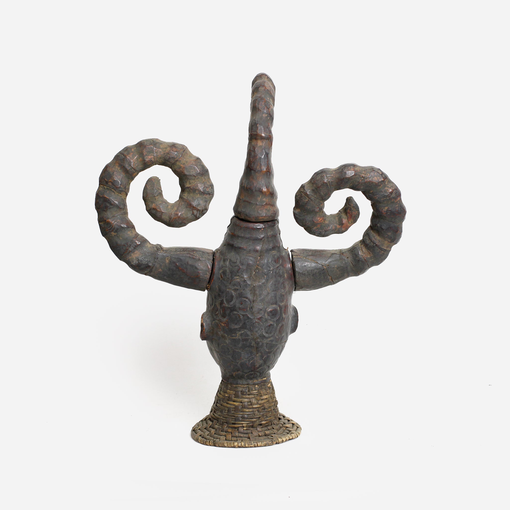 エコイ メドゥーサヘッド as3_16