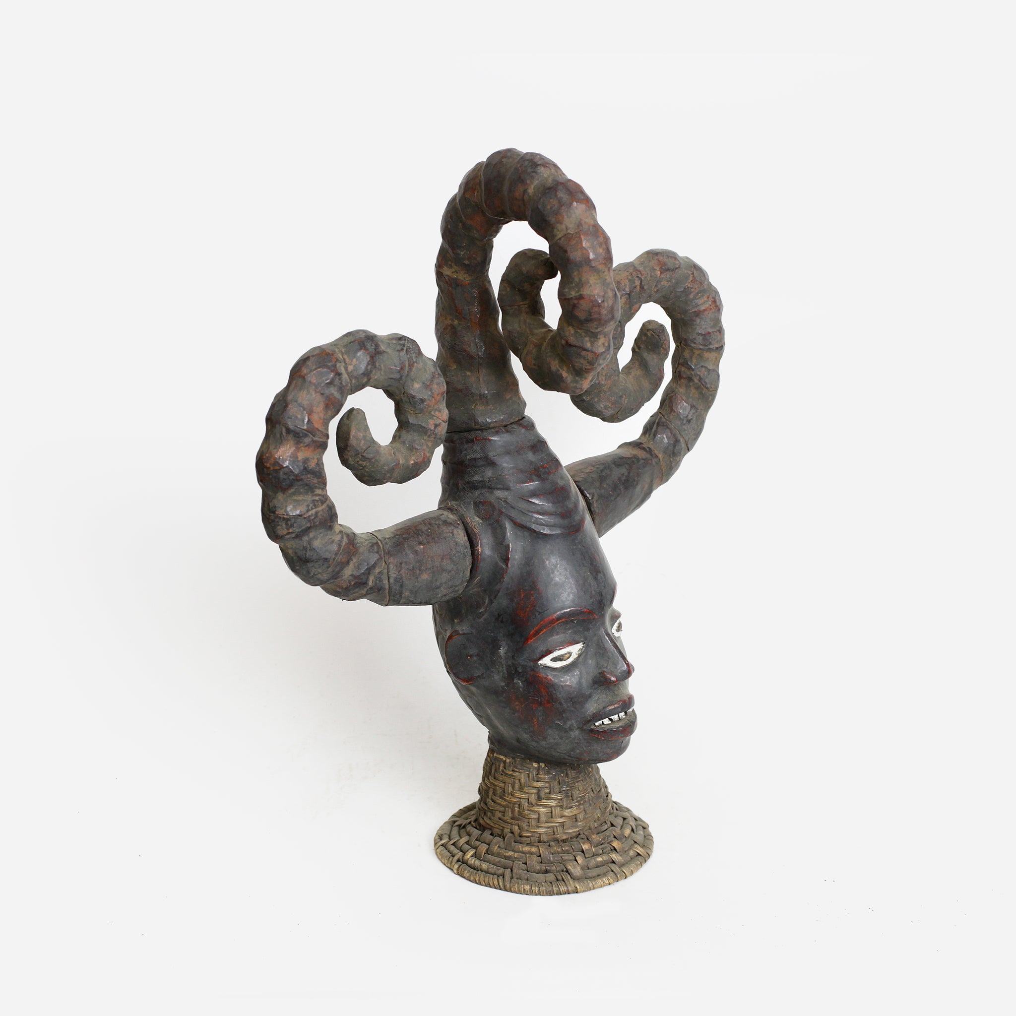 エコイ メドゥーサヘッド as3_16