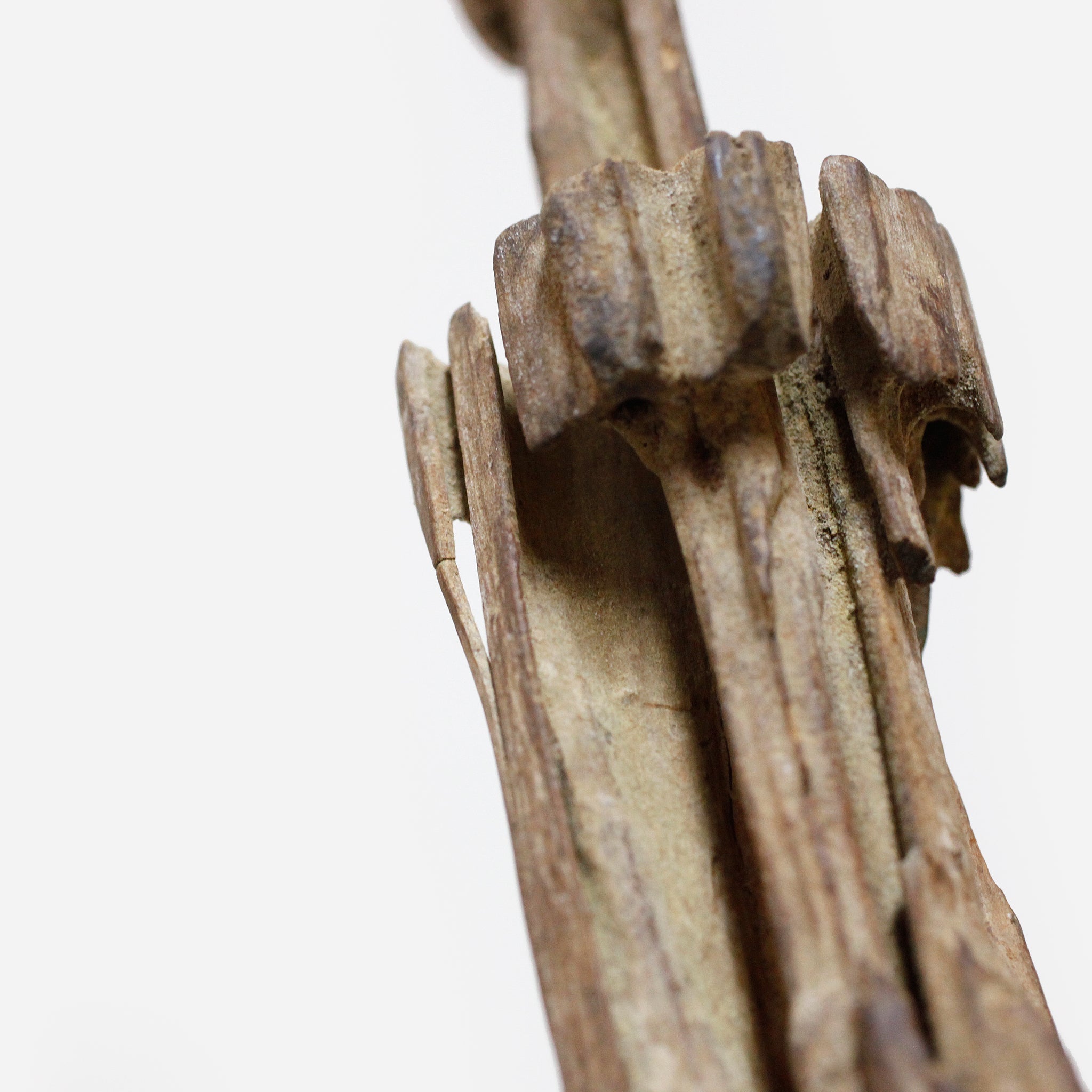 ドゴン 朽ちていく祖先の姿 f_140