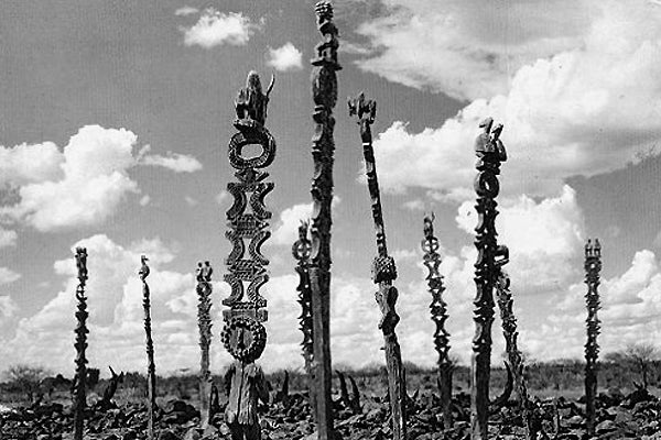 マハファリ ゼブと地衣類 f_142