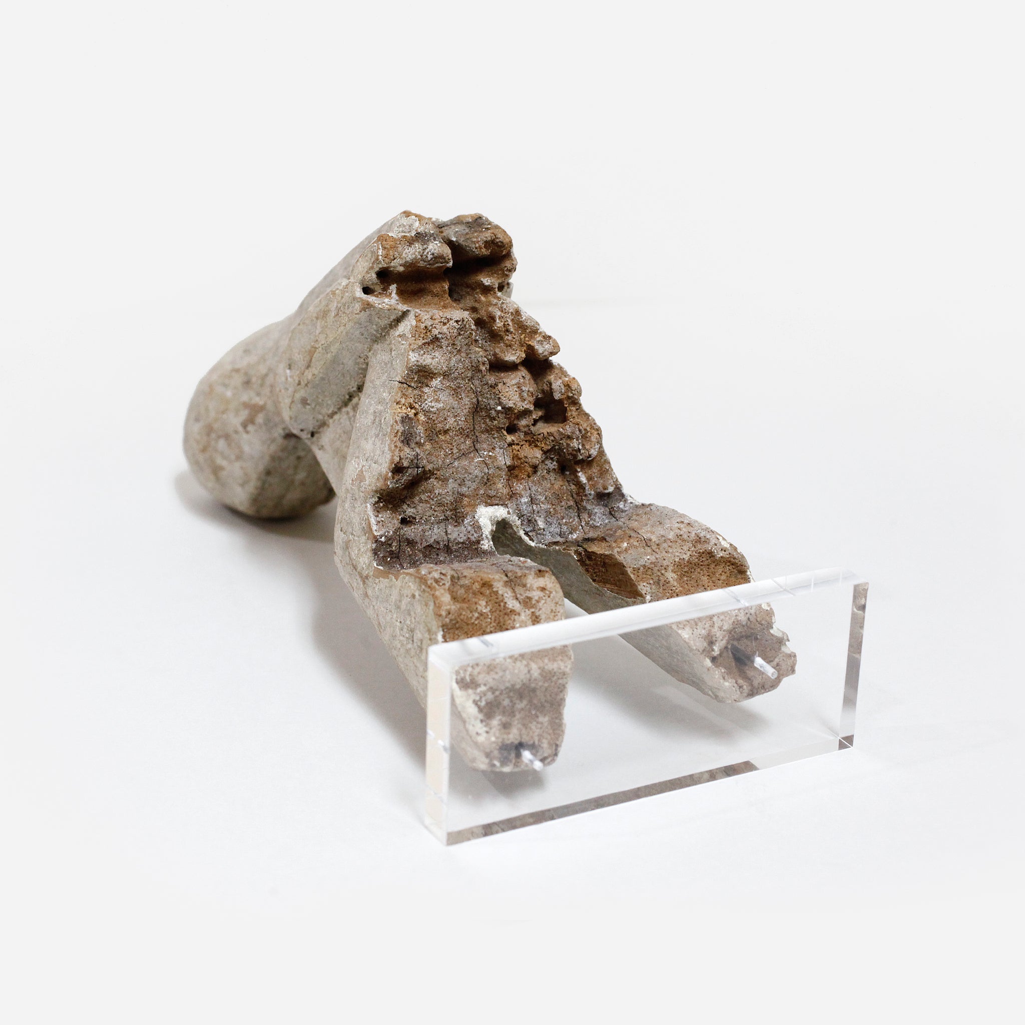 ロビワラ 角度のある木像 f_144