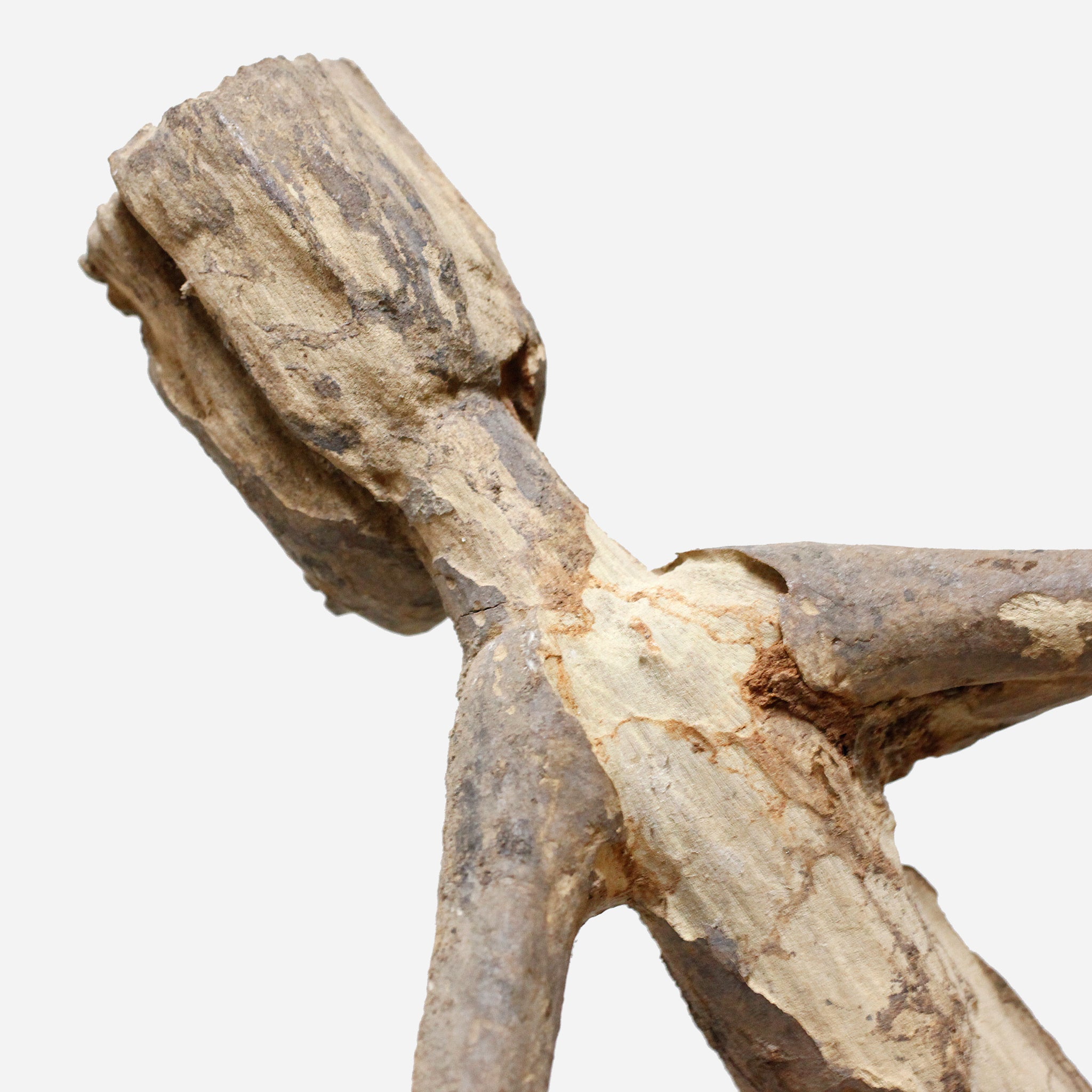 ロビ アクション像 f_153