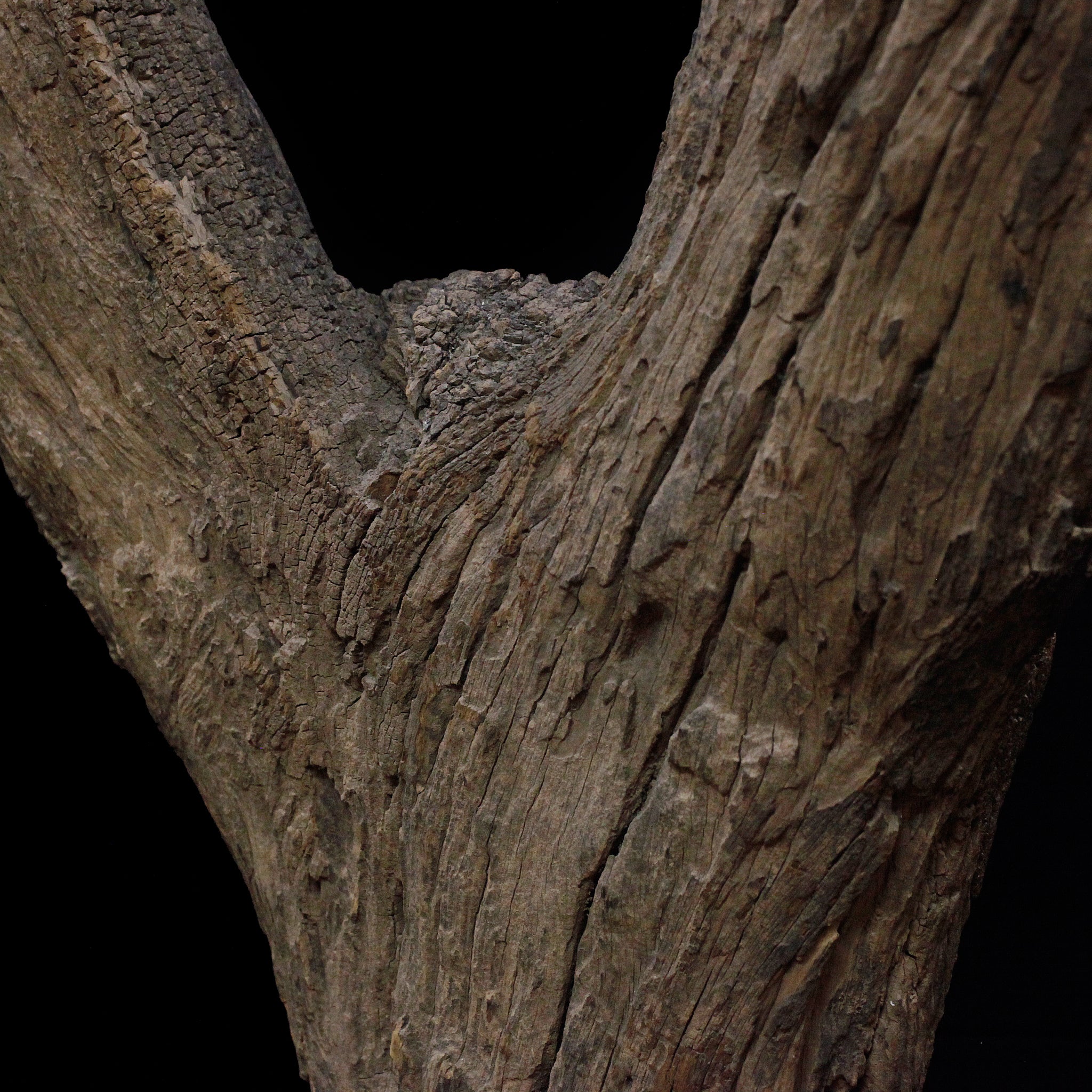 ドゴン 古い梯子 o_221