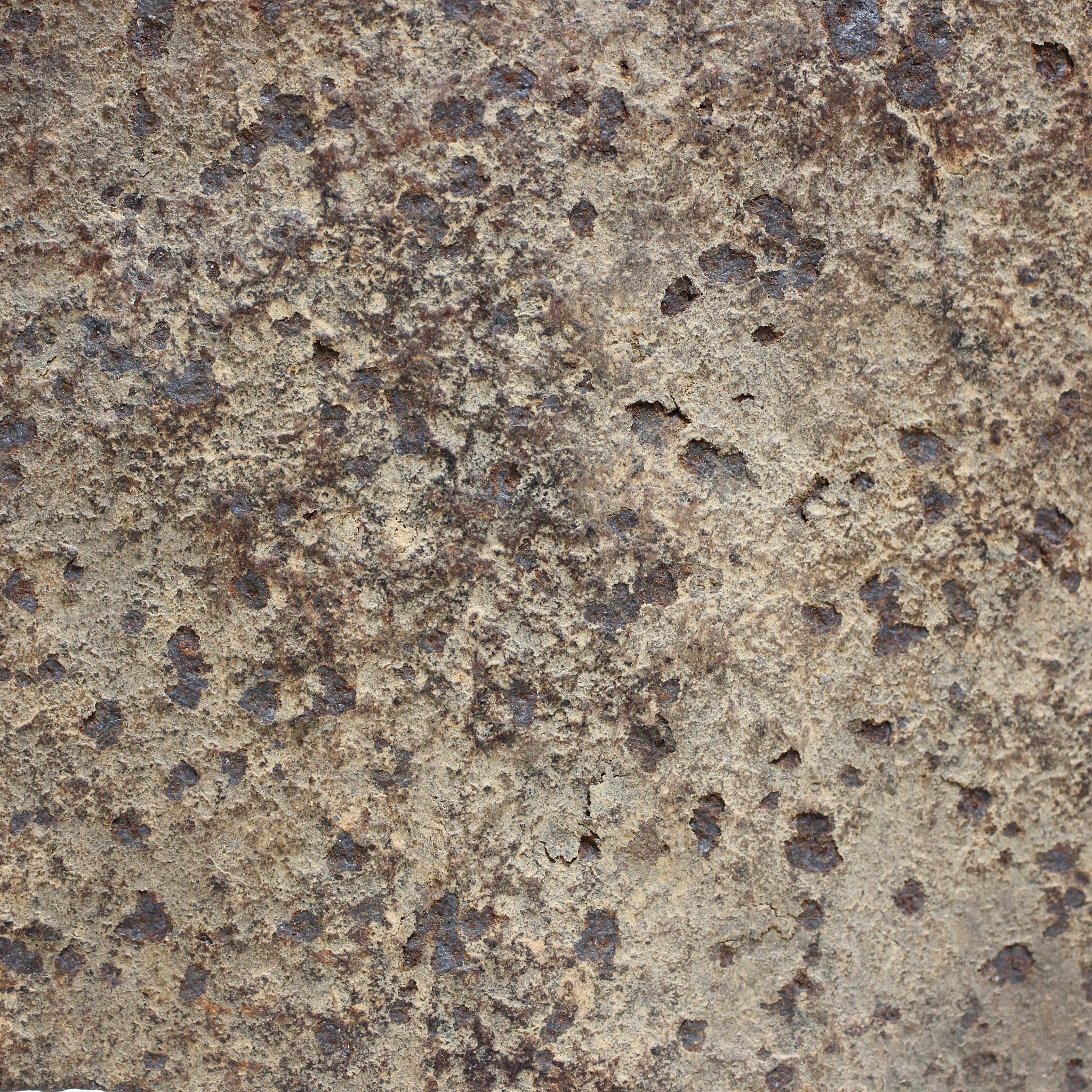 マンビラ The Perfect Form o_213