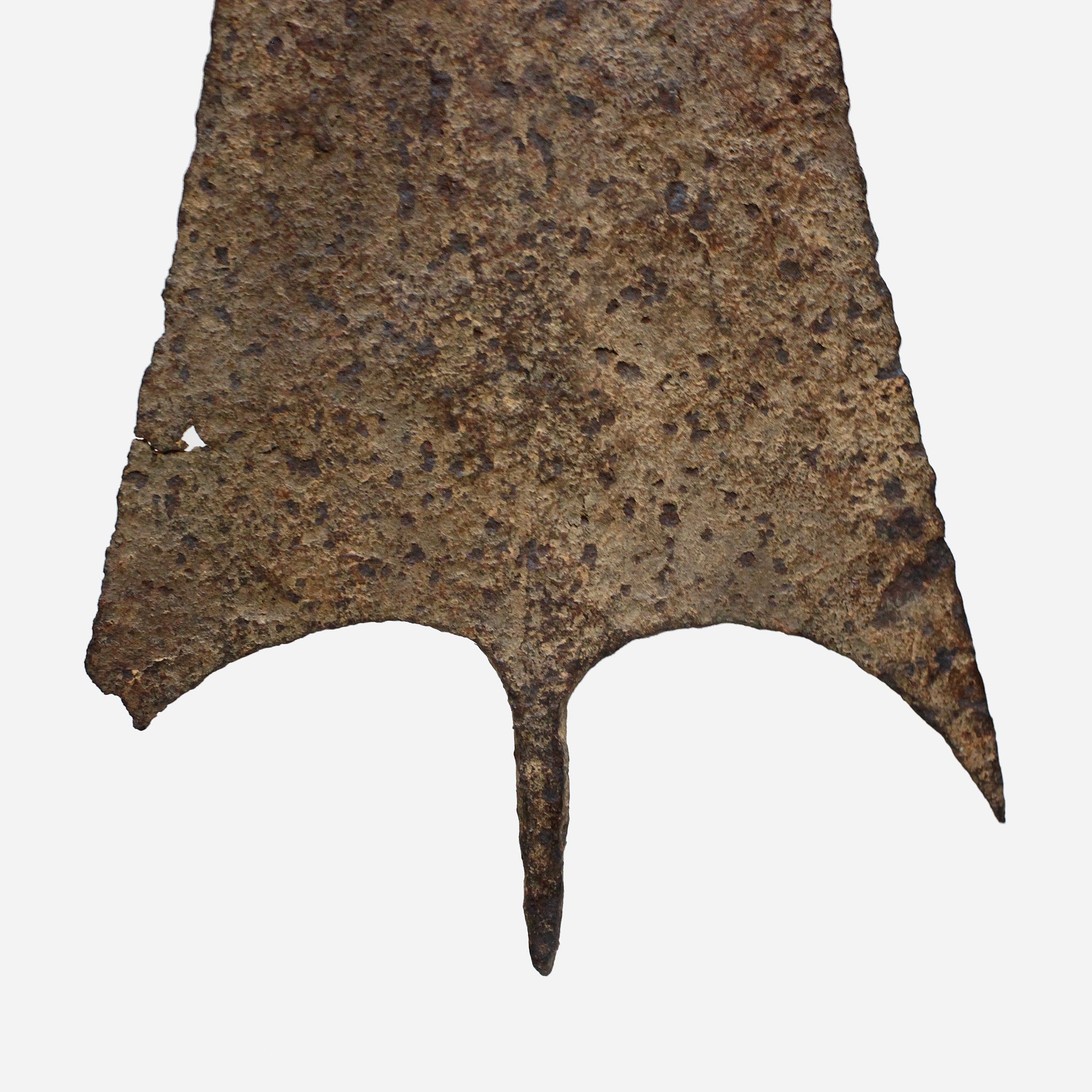 マンビラ The Perfect Form o_213