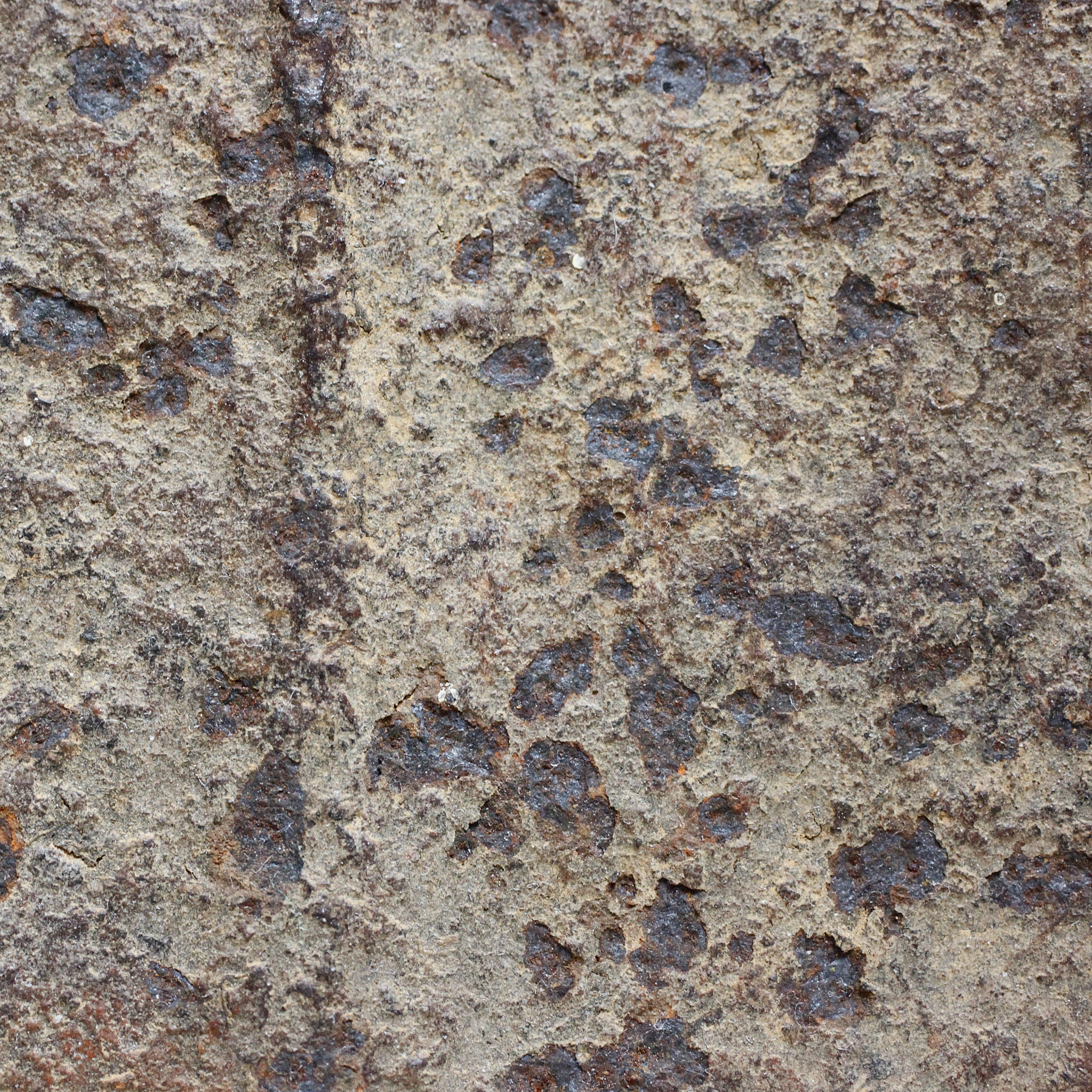 マンビラ The Perfect Form o_213