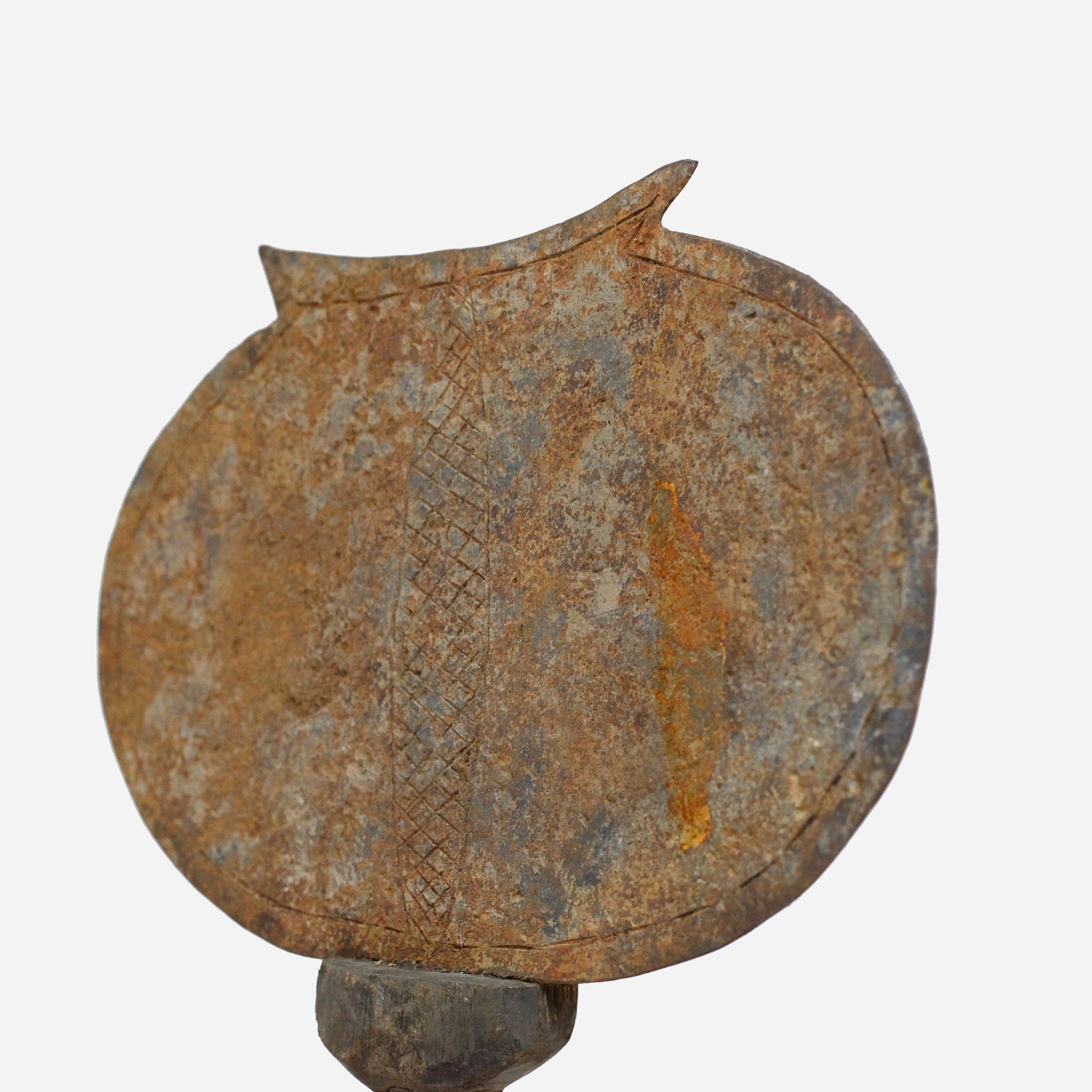 チャンバ 貨幣&うちわ o_216