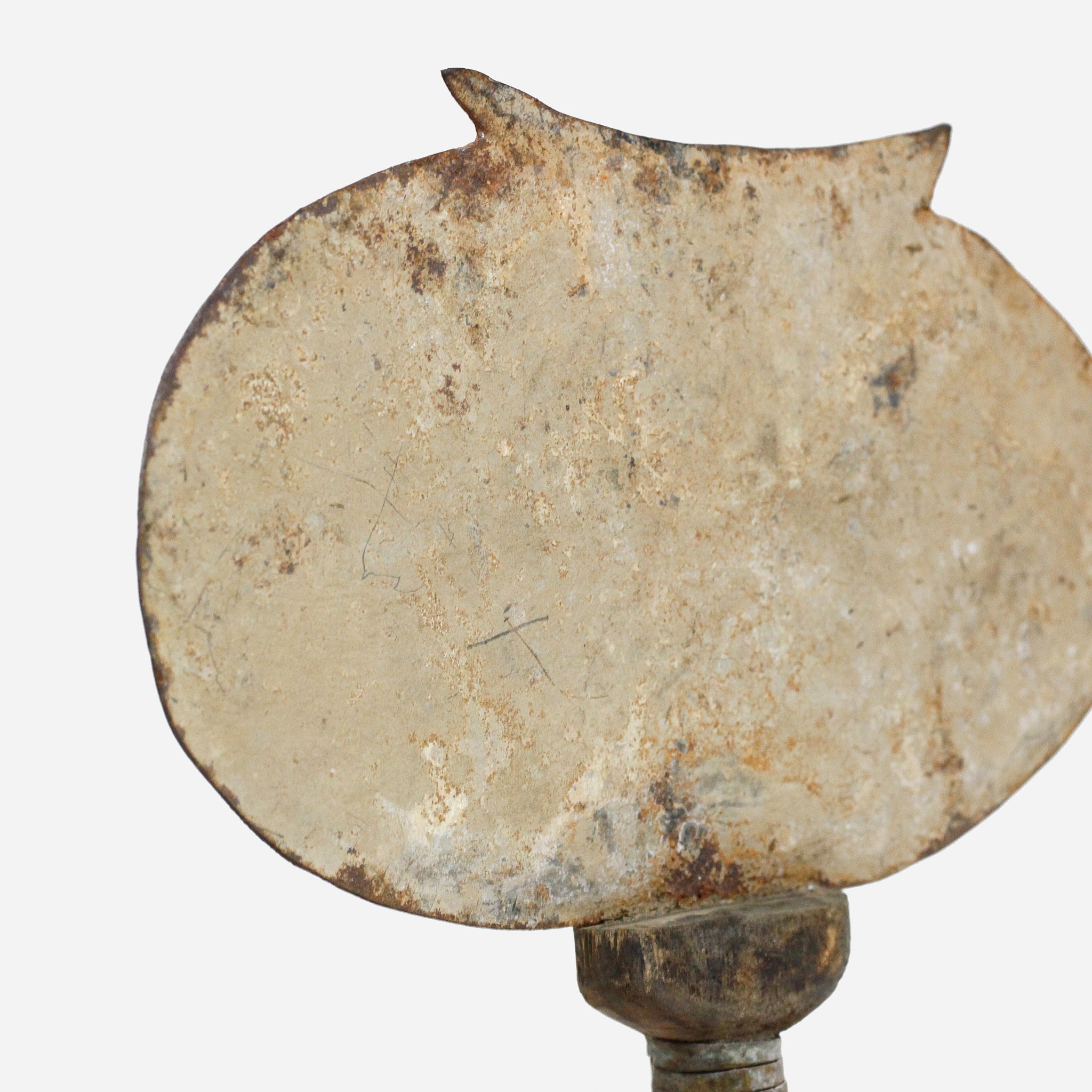 チャンバ 貨幣&うちわ o_216