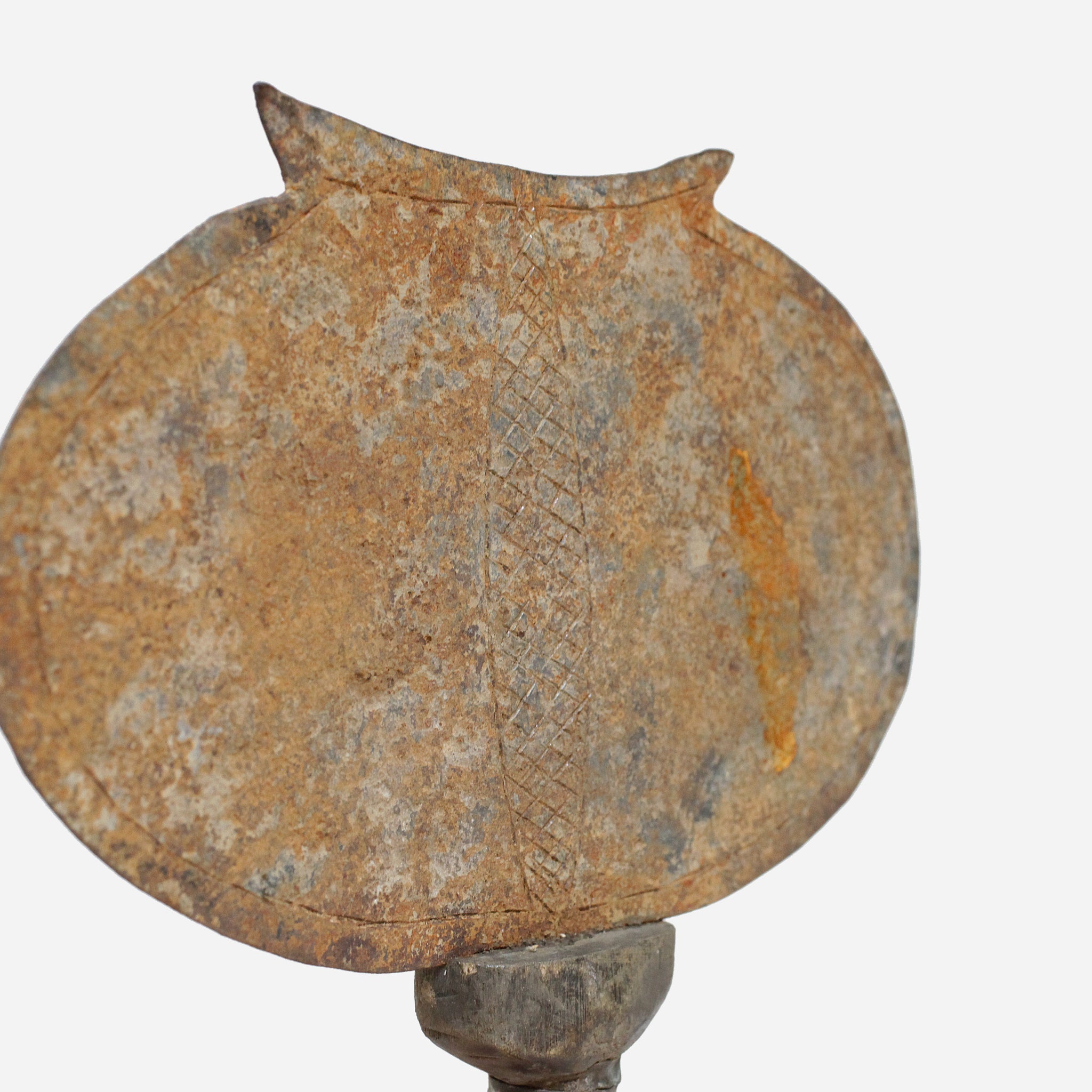 チャンバ 貨幣&うちわ o_216