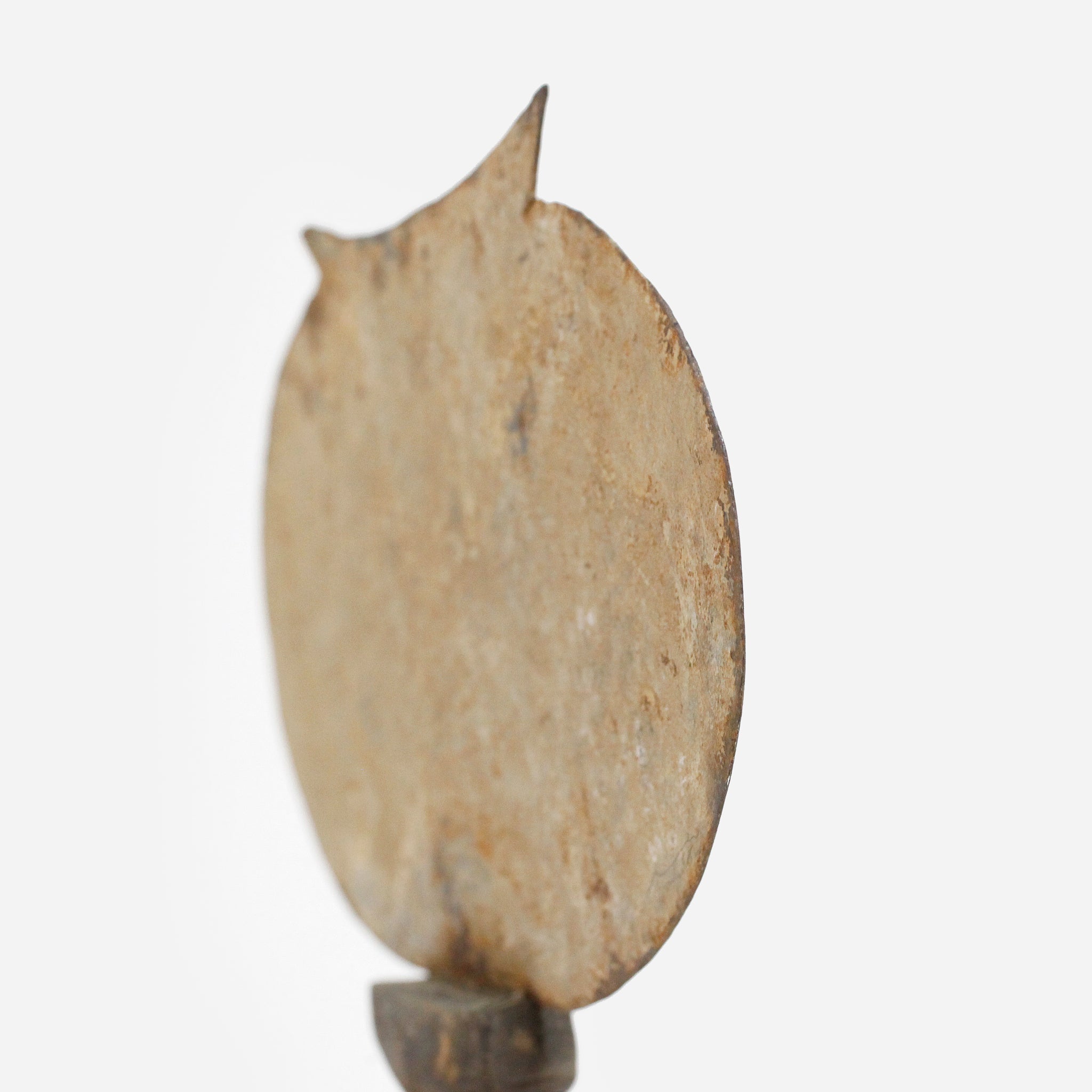 チャンバ 貨幣&うちわ o_216