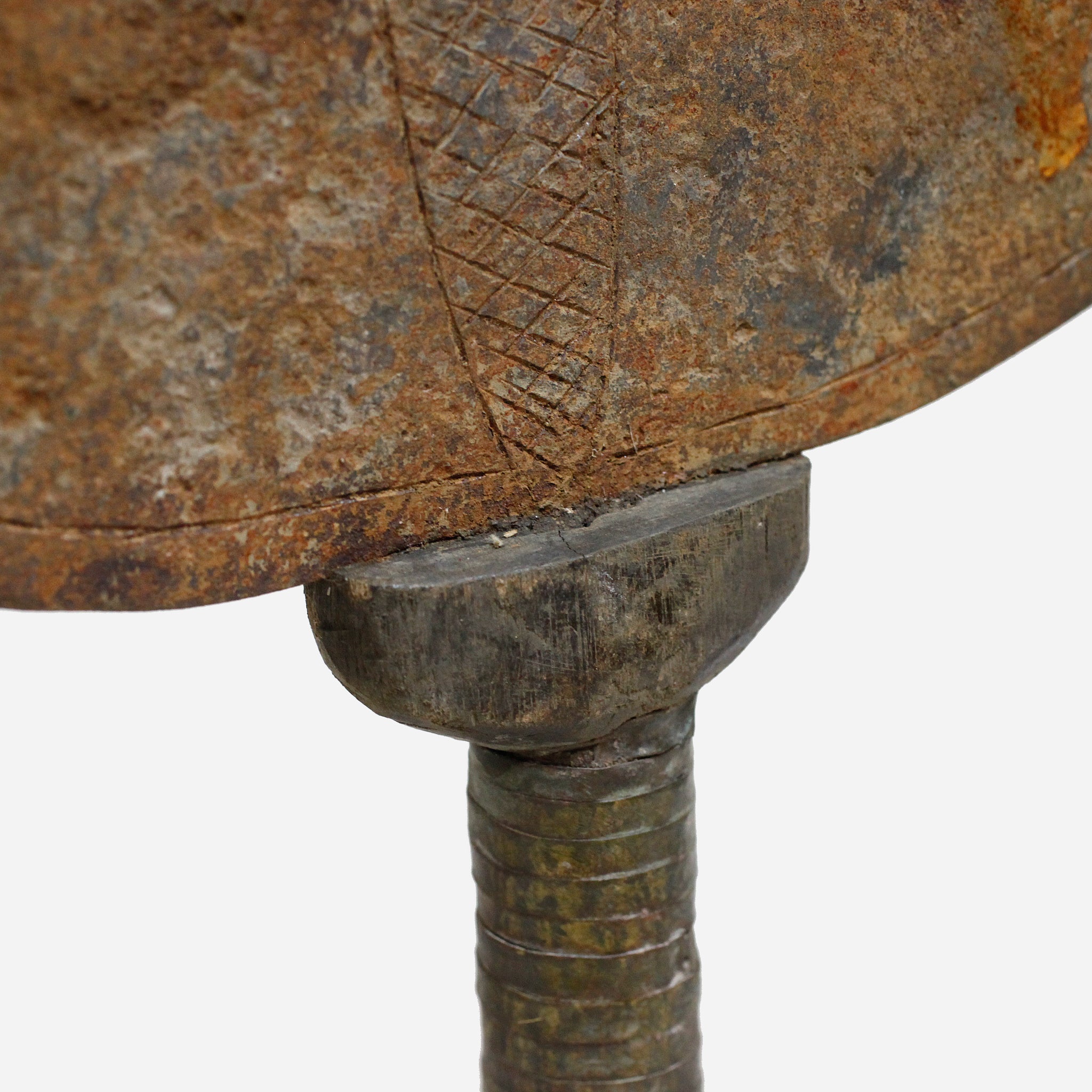 チャンバ 貨幣&うちわ o_216