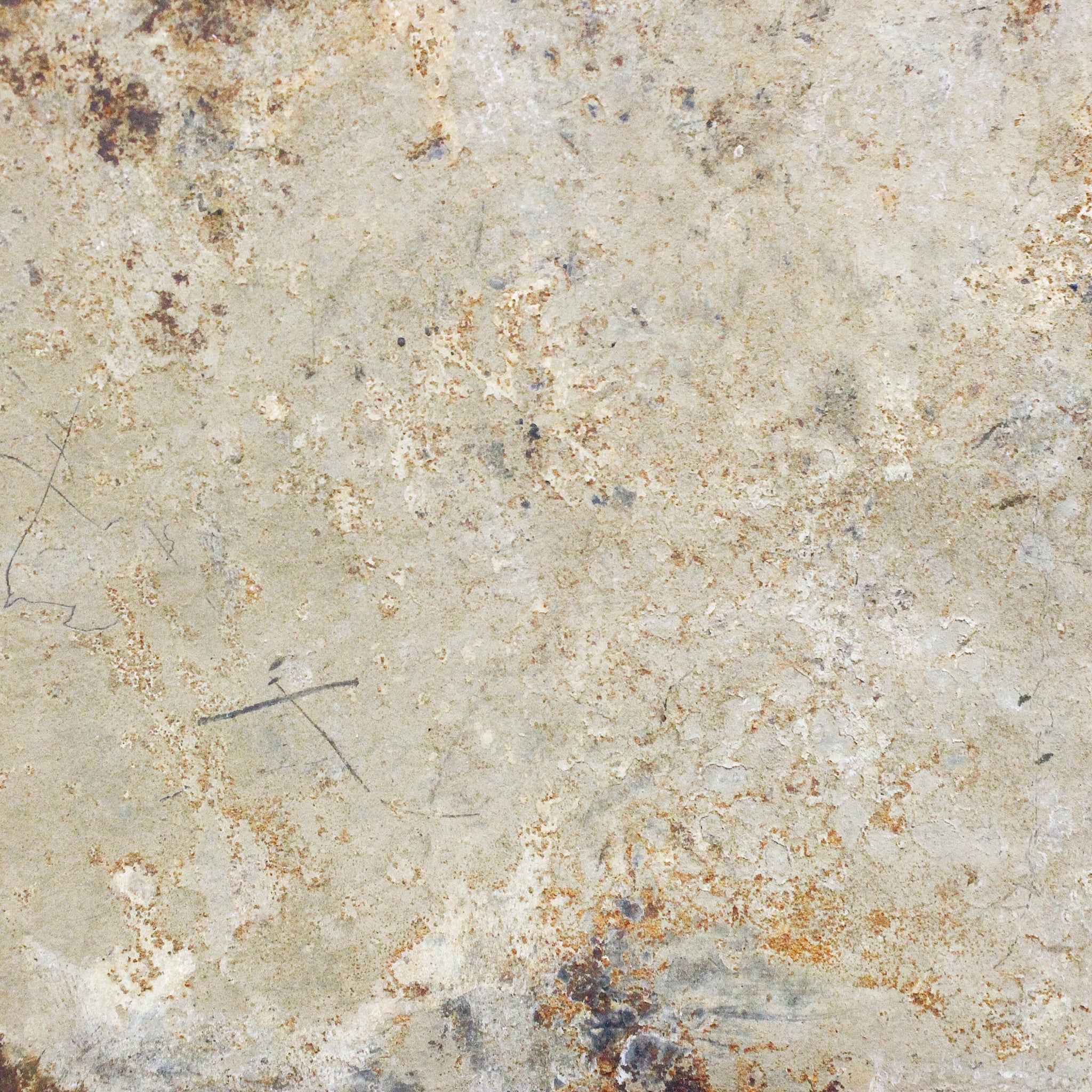 チャンバ 貨幣&うちわ o_216