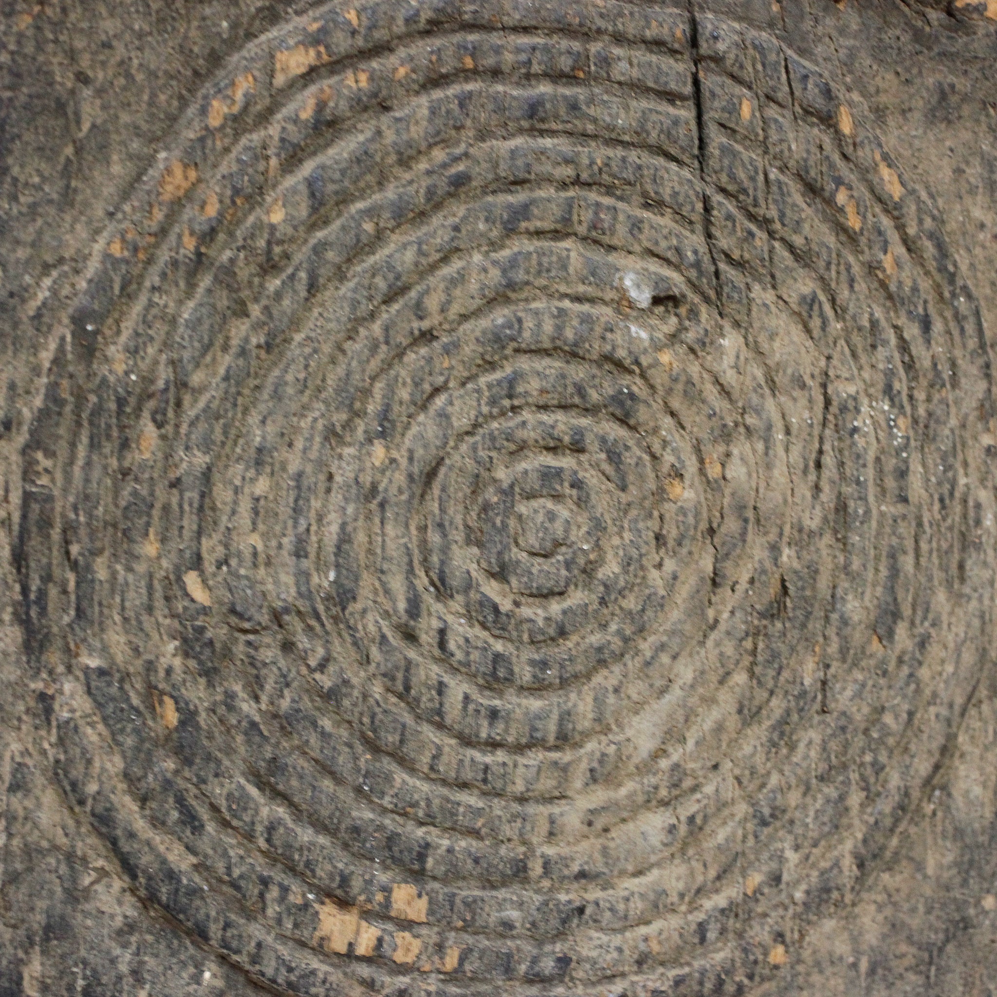 ドゴン 同心円の扉 o_217