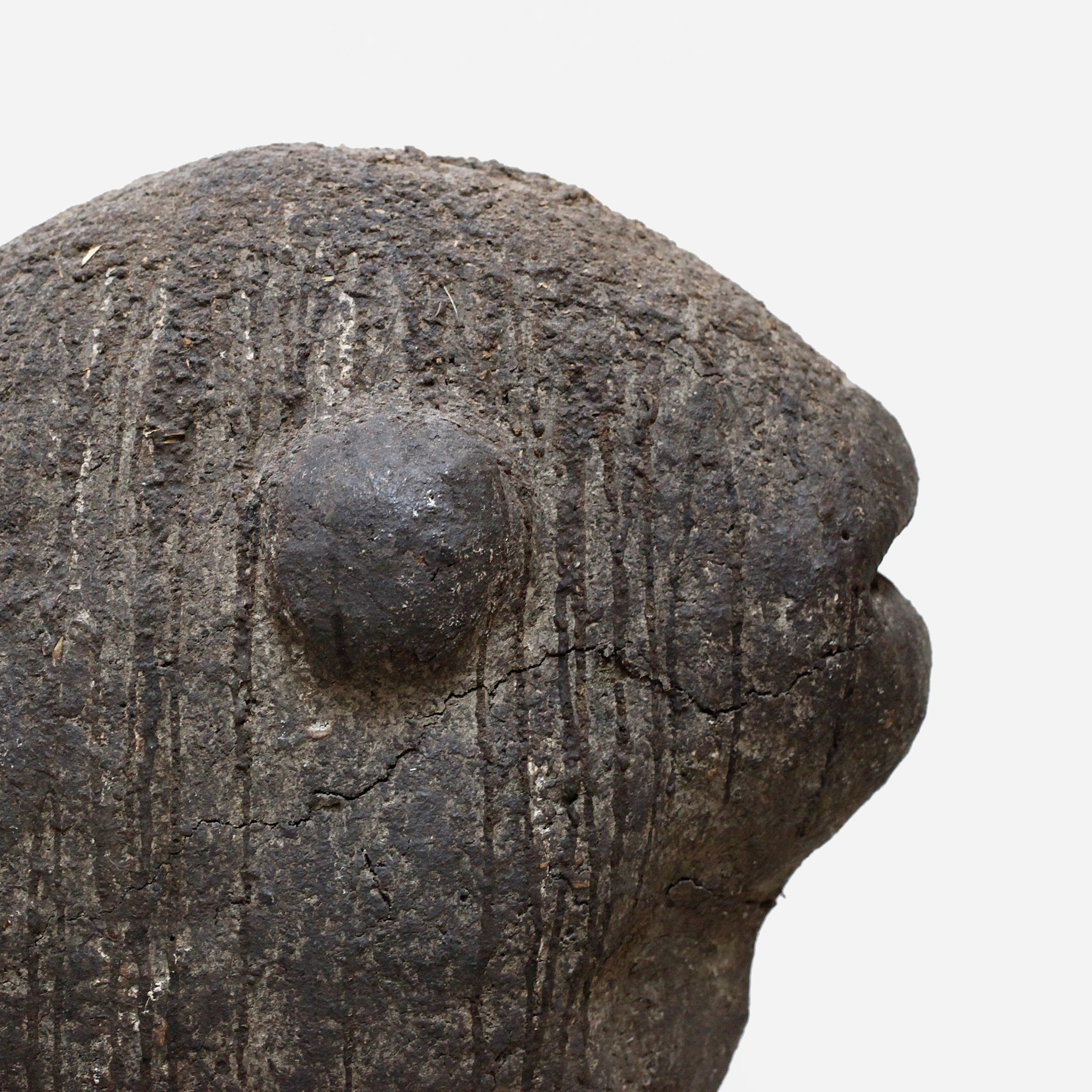 バマナ モンスターのボリ  o_218