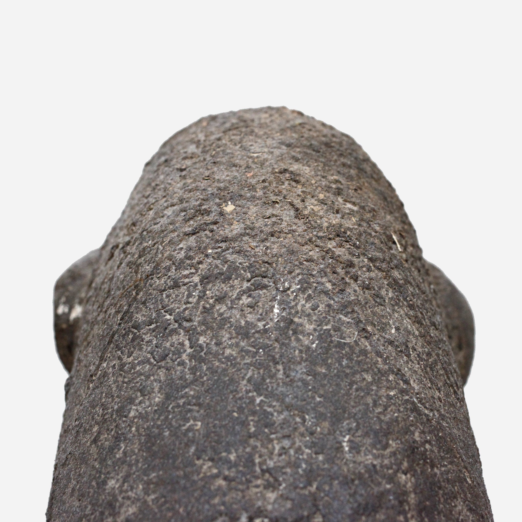 バマナ モンスターのボリ  o_218