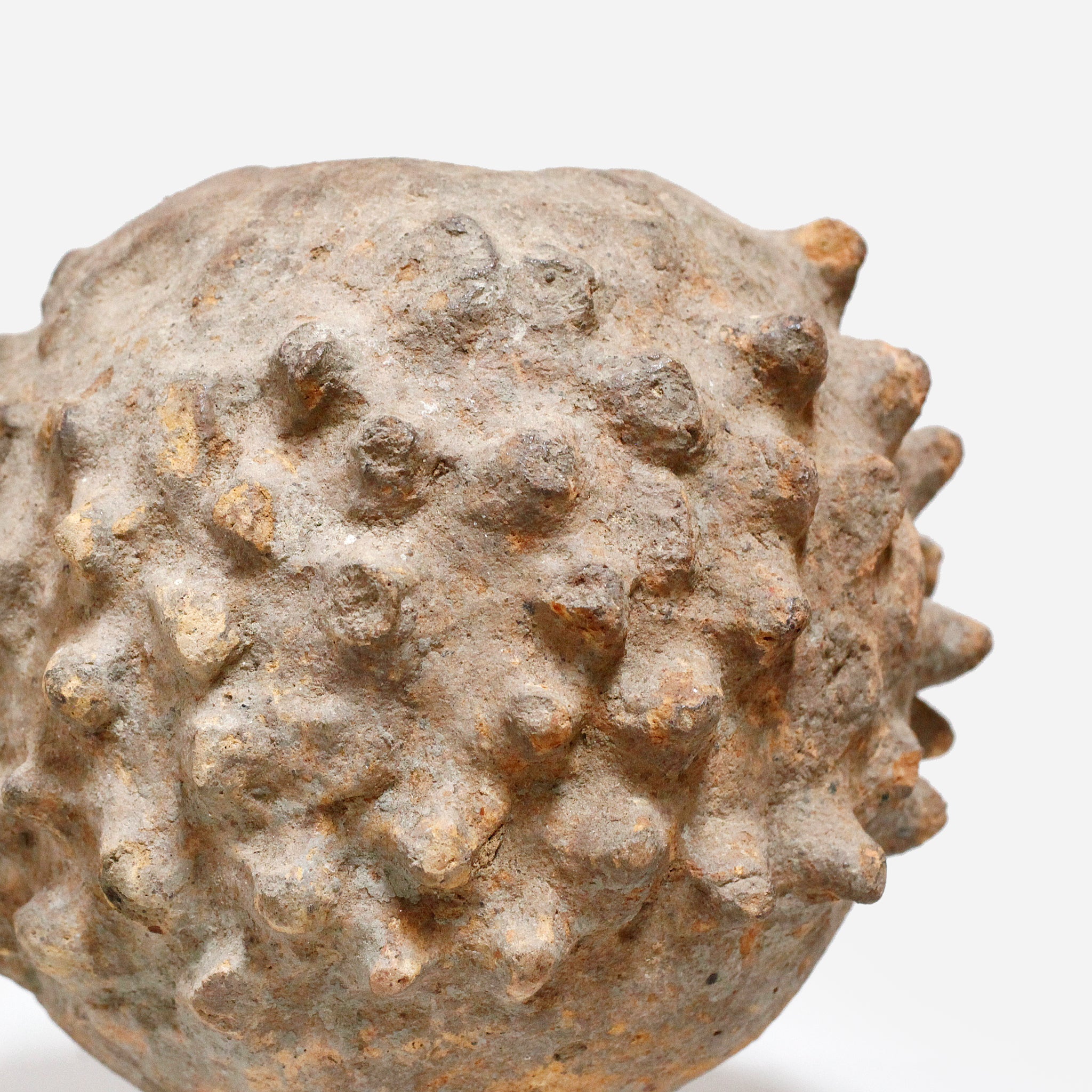 ロビ 霊水器 o_219