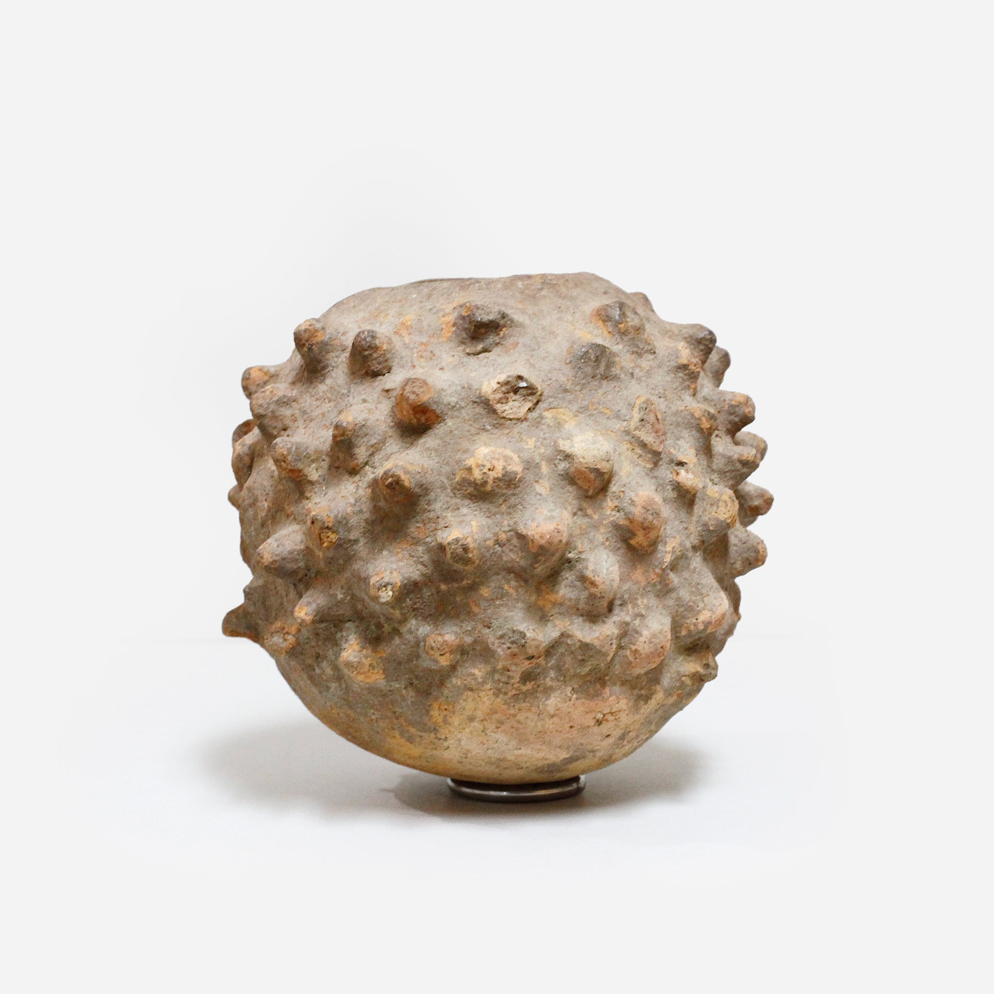 ロビ 霊水器 o_219