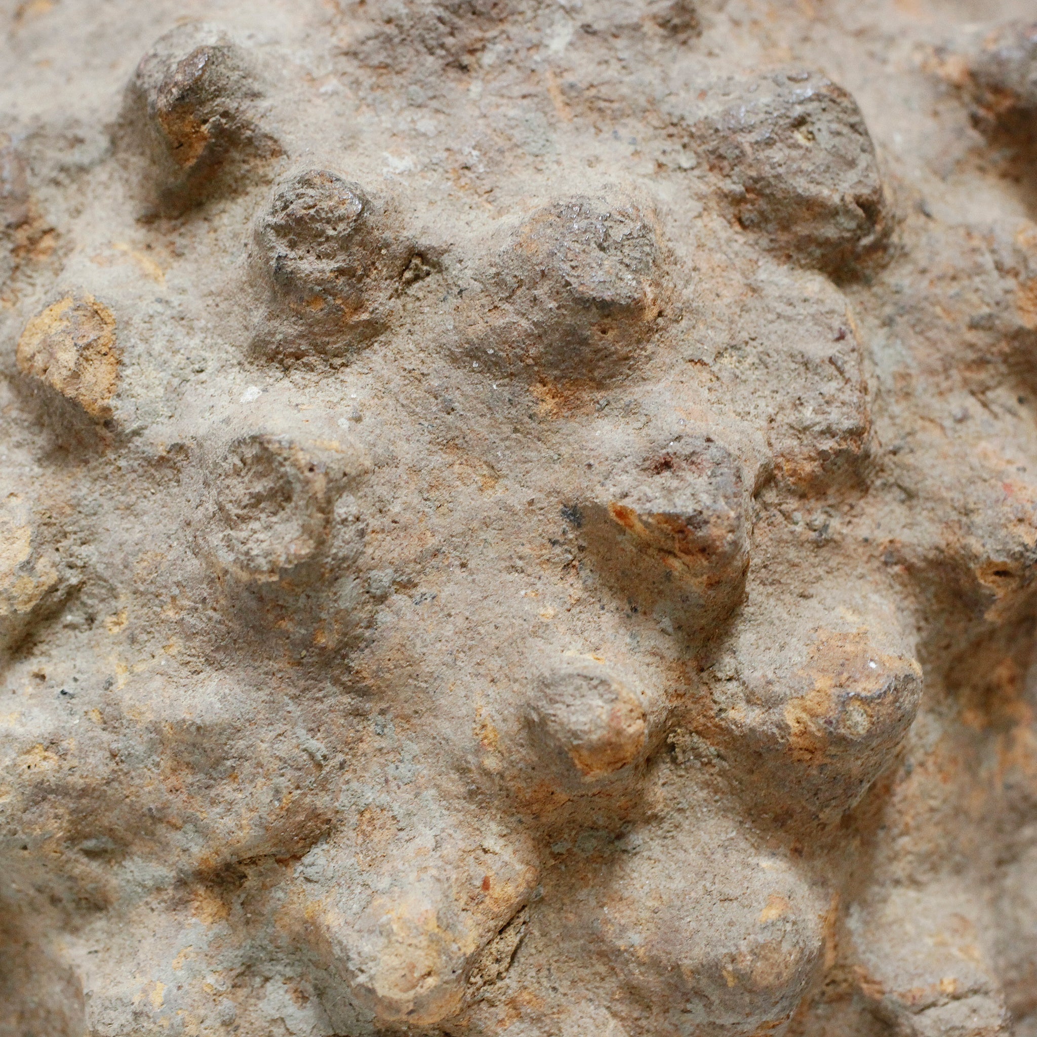 ロビ 霊水器 o_219