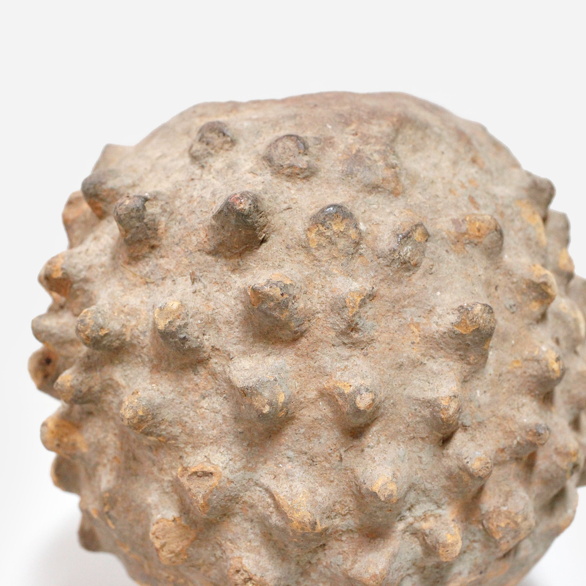 ロビ 霊水器 o_219