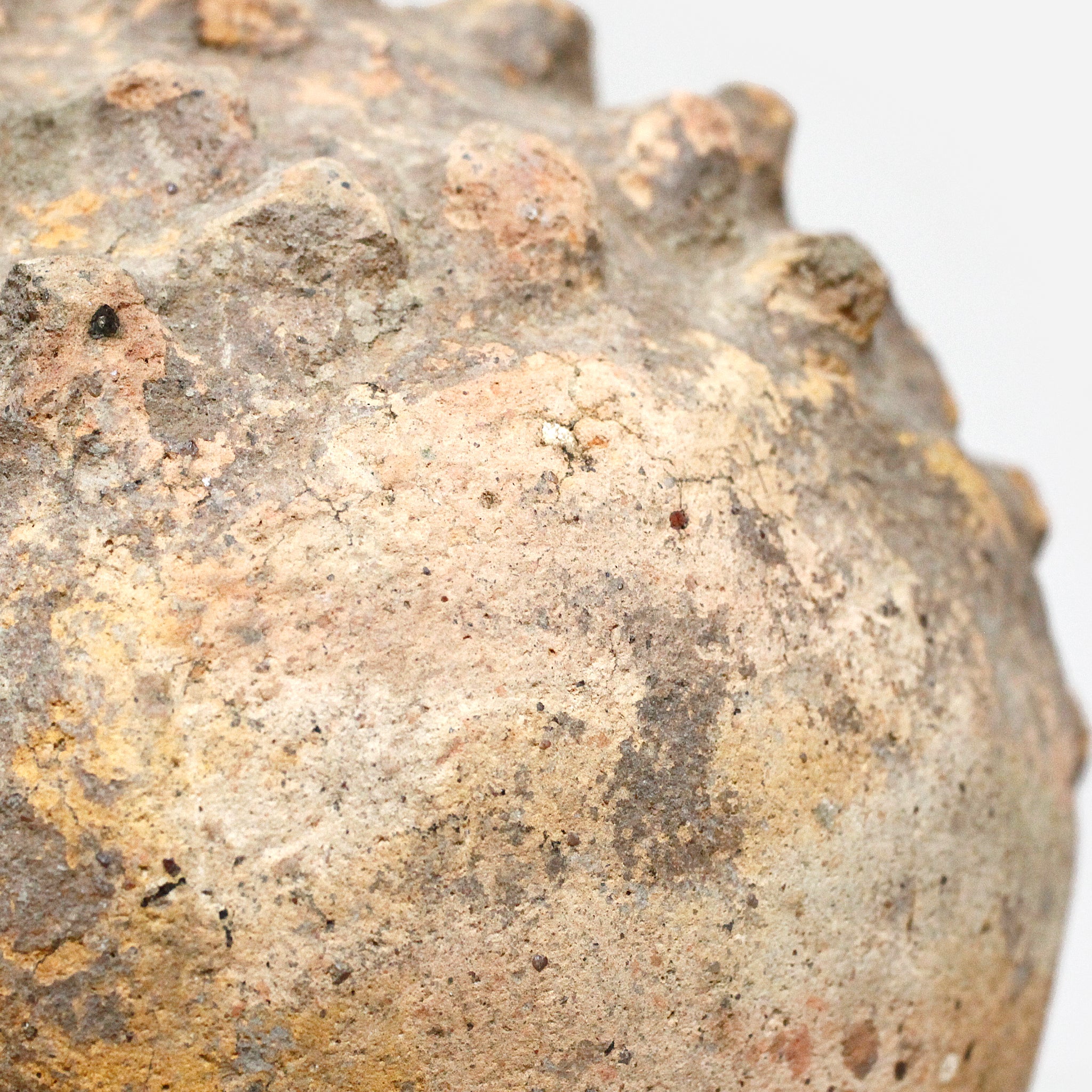 ロビ 霊水器 o_219