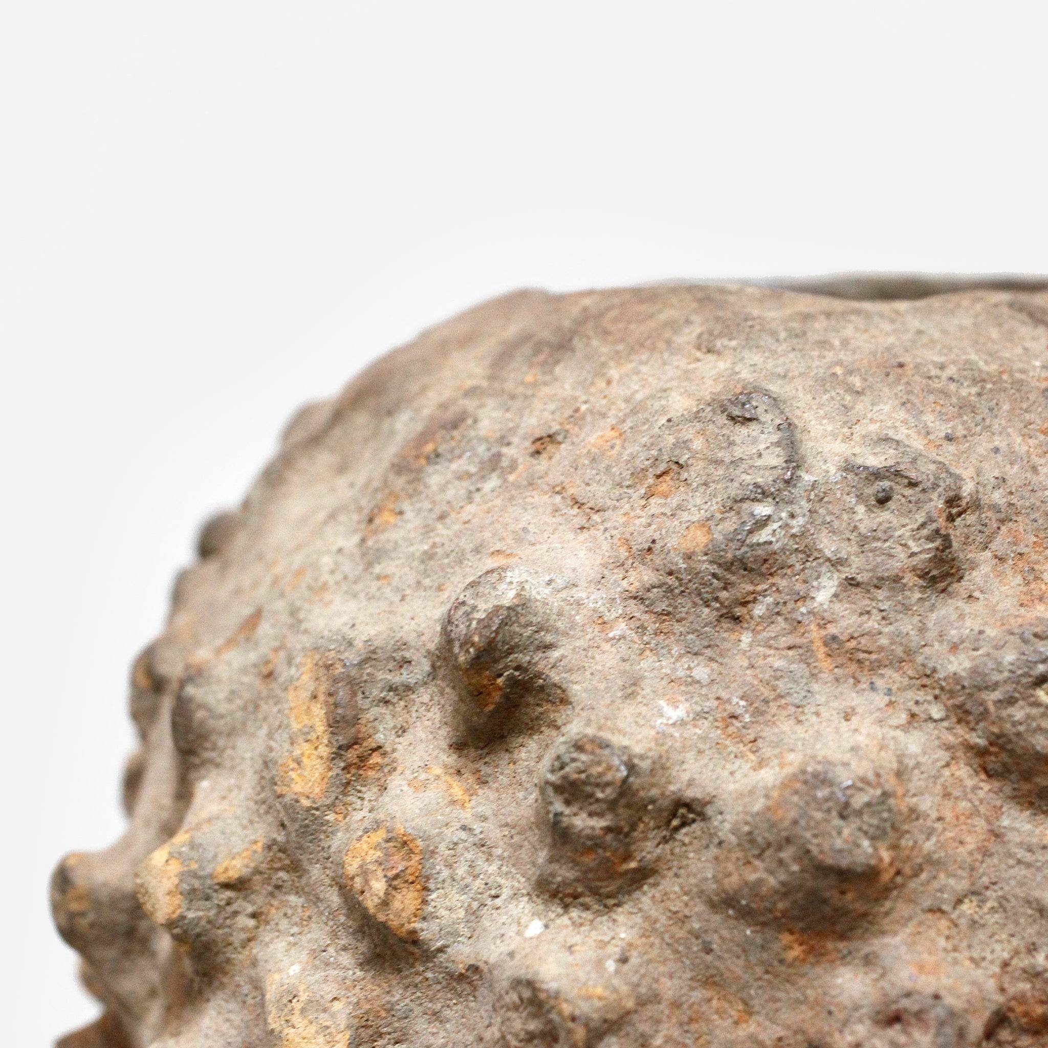 ロビ 霊水器 o_219