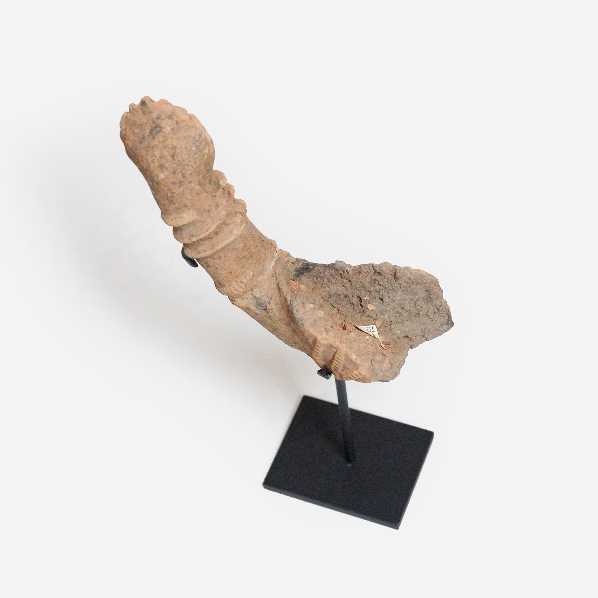 ブラ 古代の腕 o_223