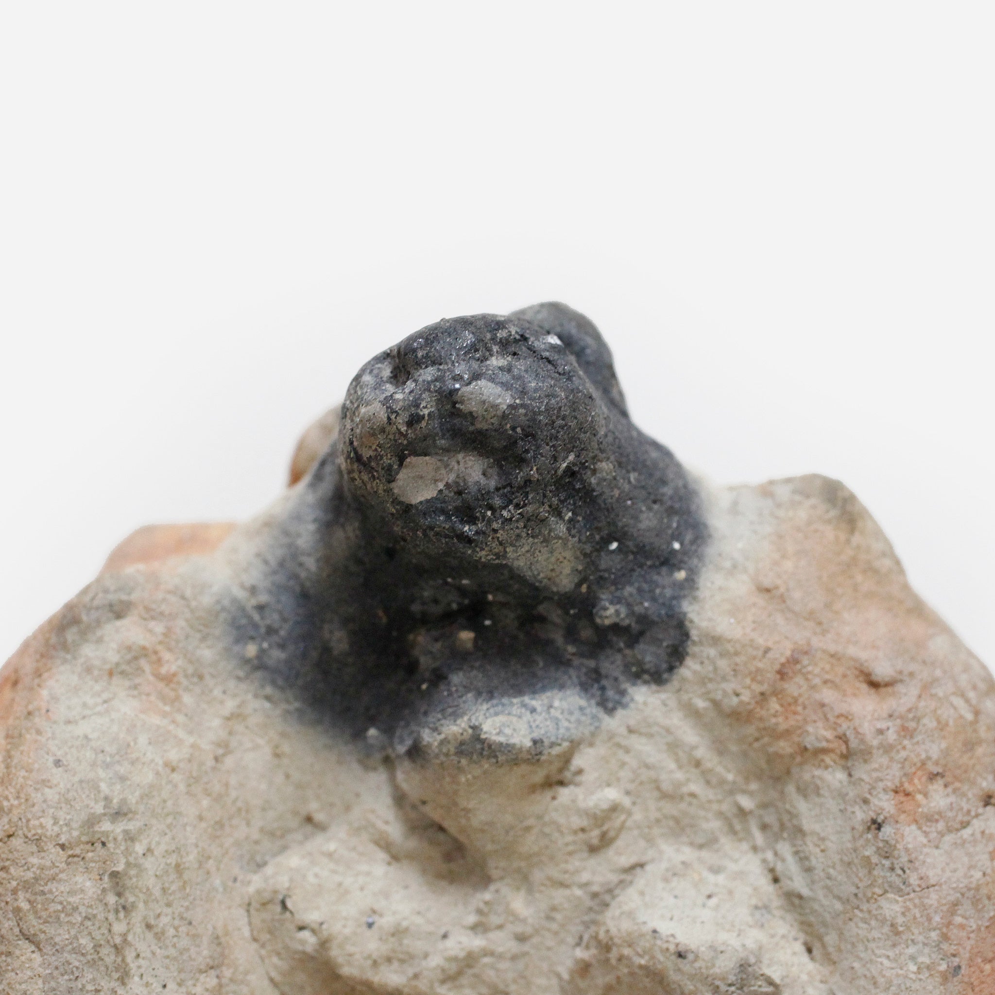 ジェンネ 蛇を背中に乗せた人 o_235