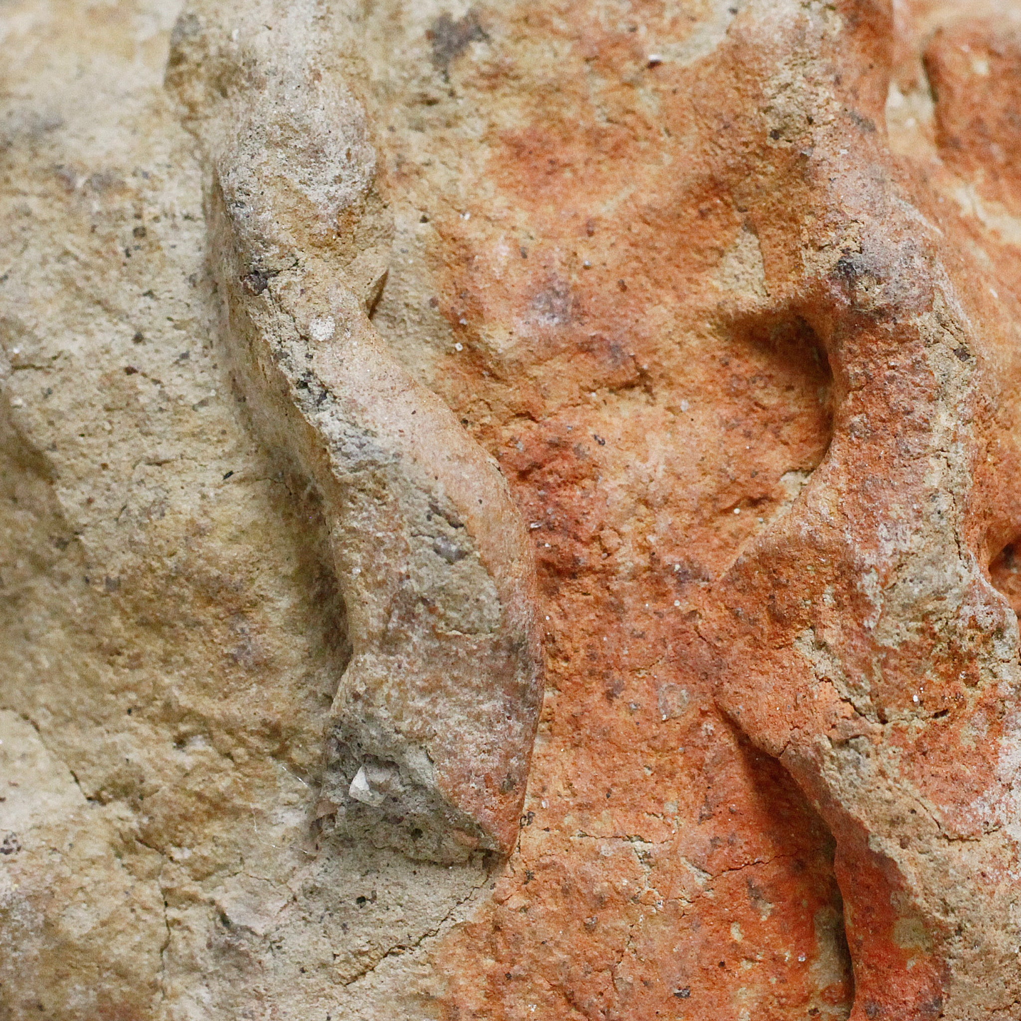 ジェンネ 蛇を背中に乗せた人 o_235