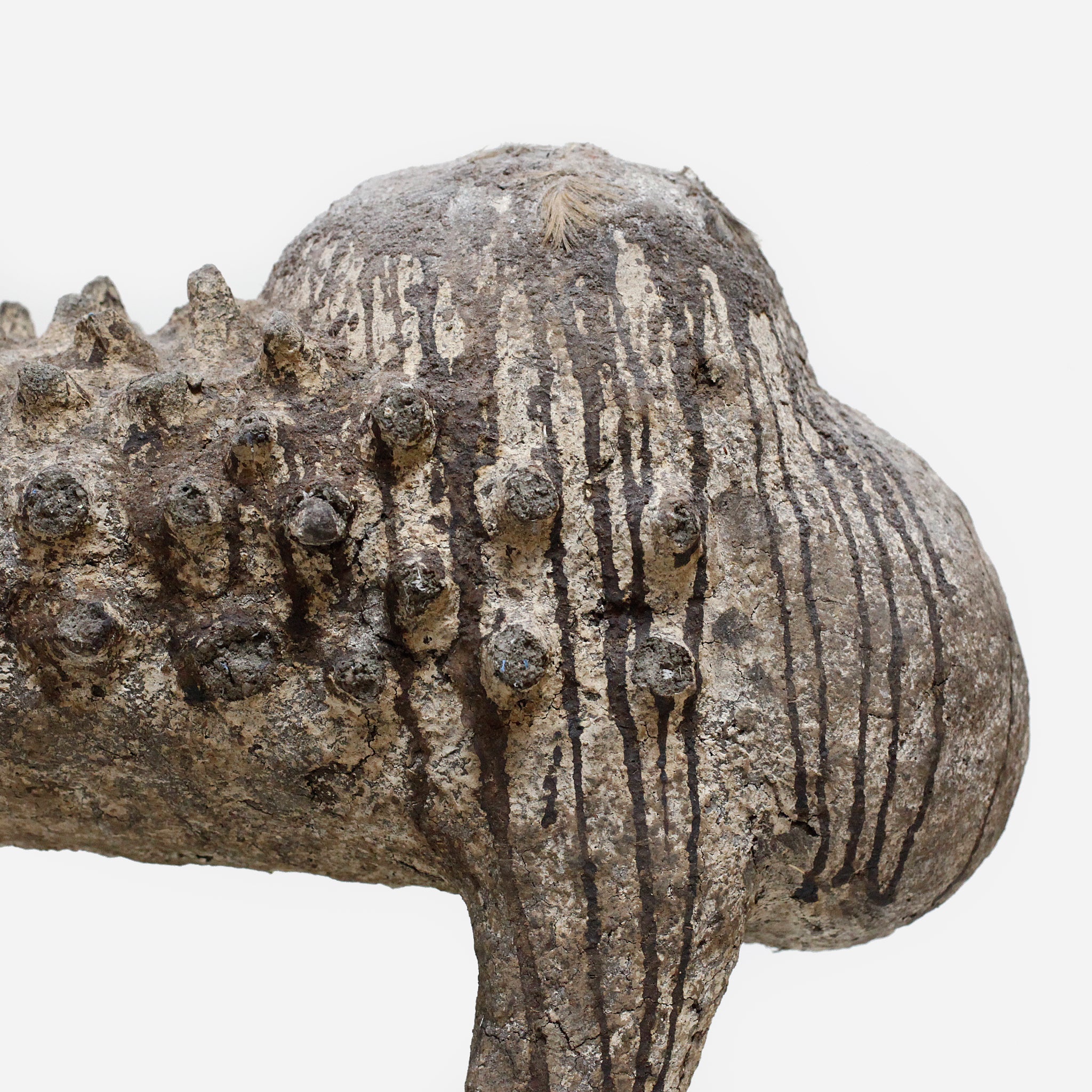 バマナ イボのボリ o_237