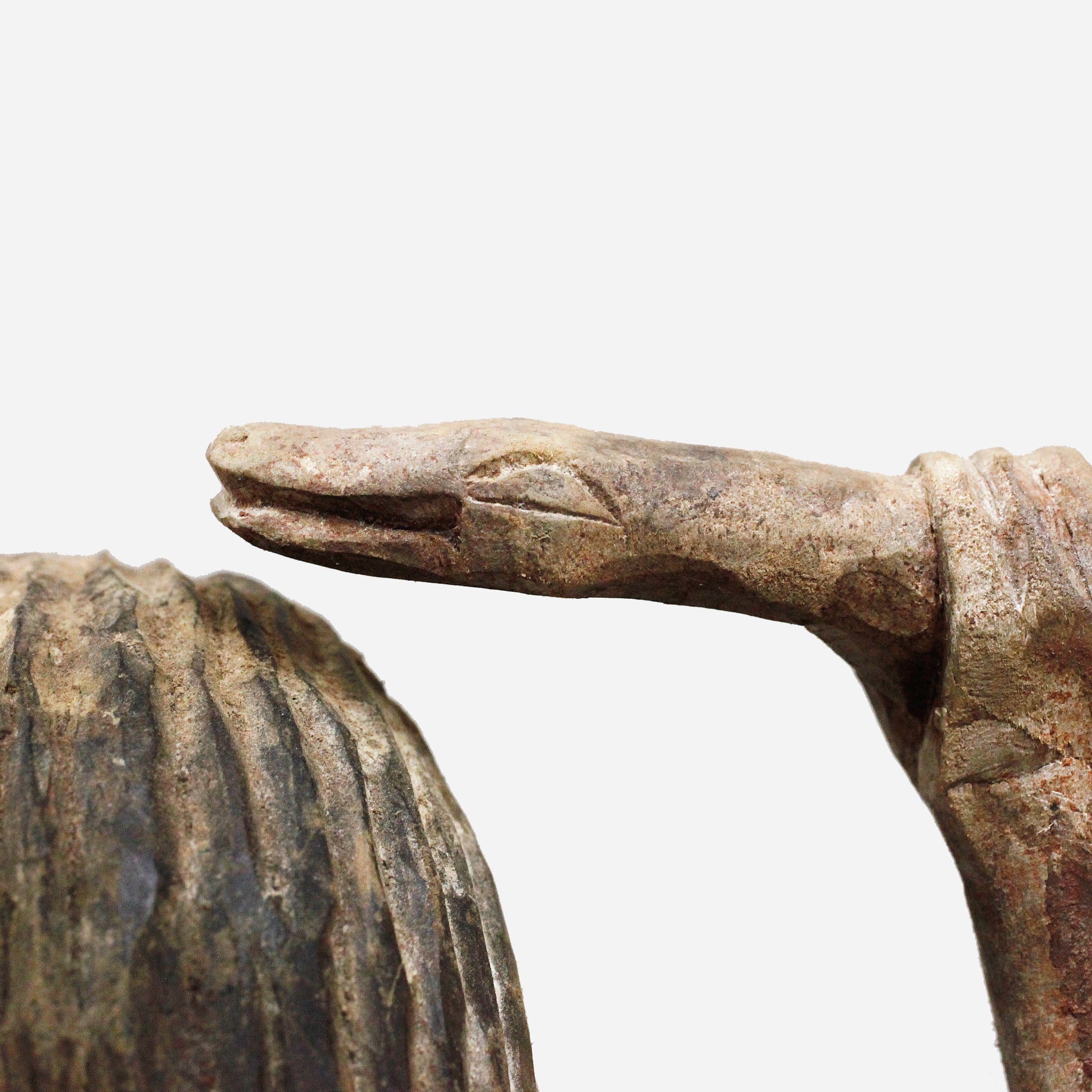 エウェ 人魚のマミワタ o_242