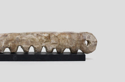 アダン族 常世神 f_119