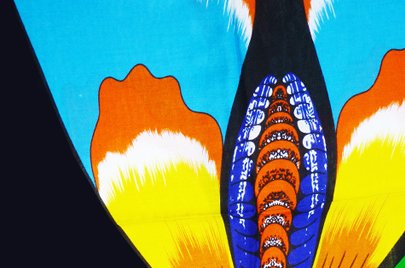 東アフリカ バタフライのKikoy o_100