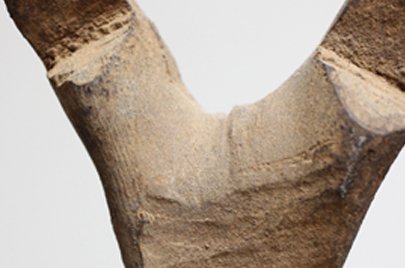 ドゴン族 白っぽい木肌のミニハシゴ o_117