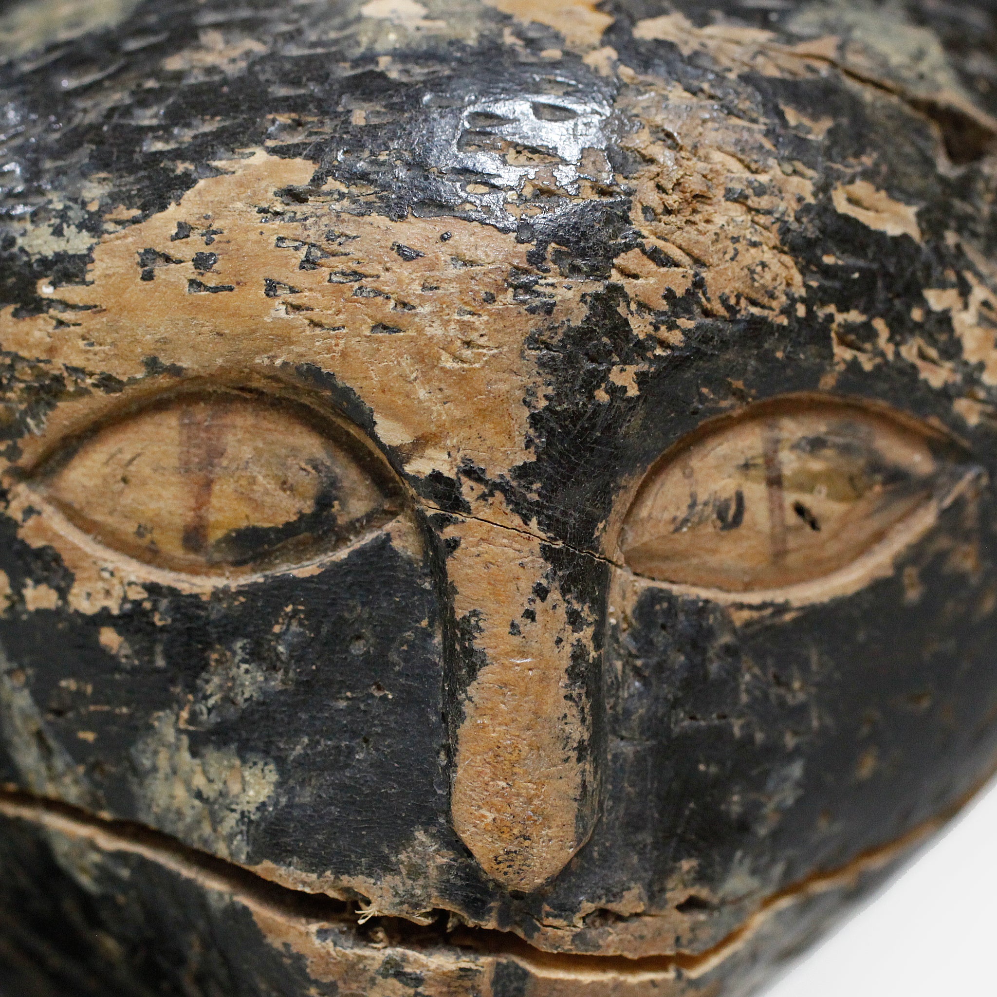 バウレ 族長の猫 f_131