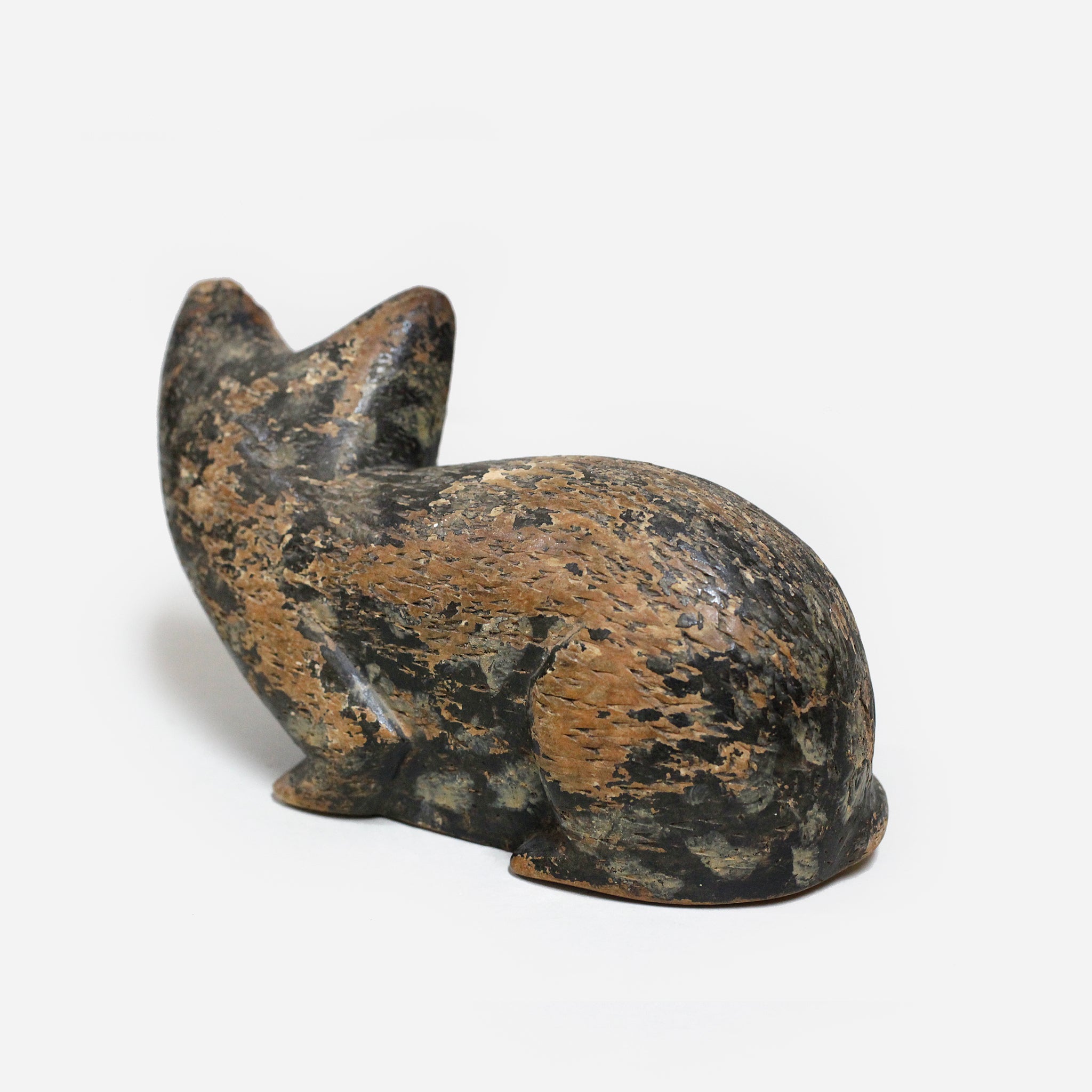 バウレ 族長の猫 f_131