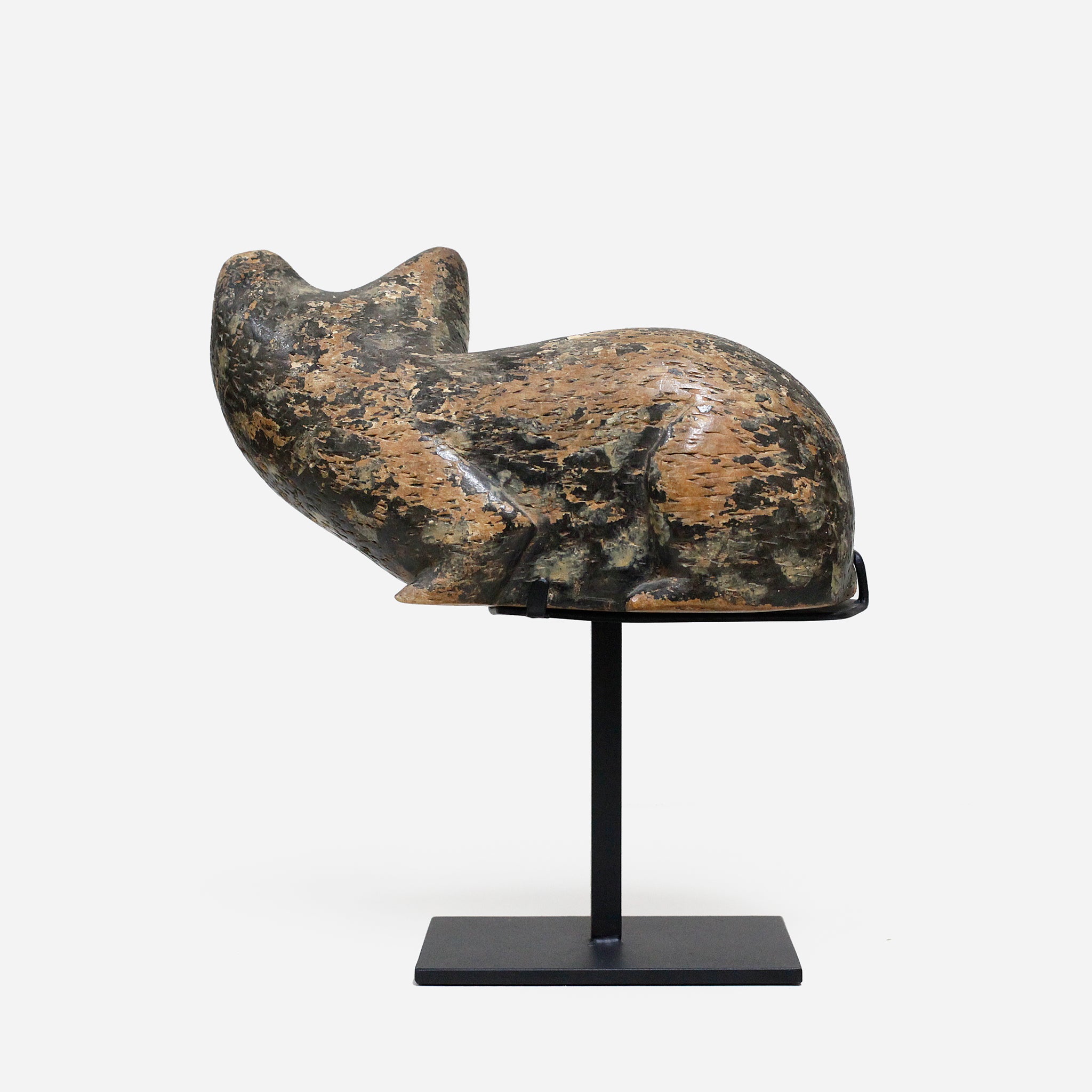 バウレ 族長の猫 f_131