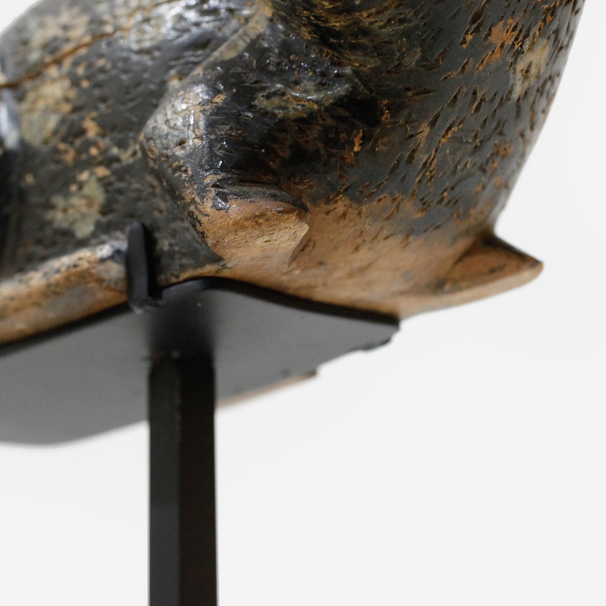 バウレ 族長の猫 f_131