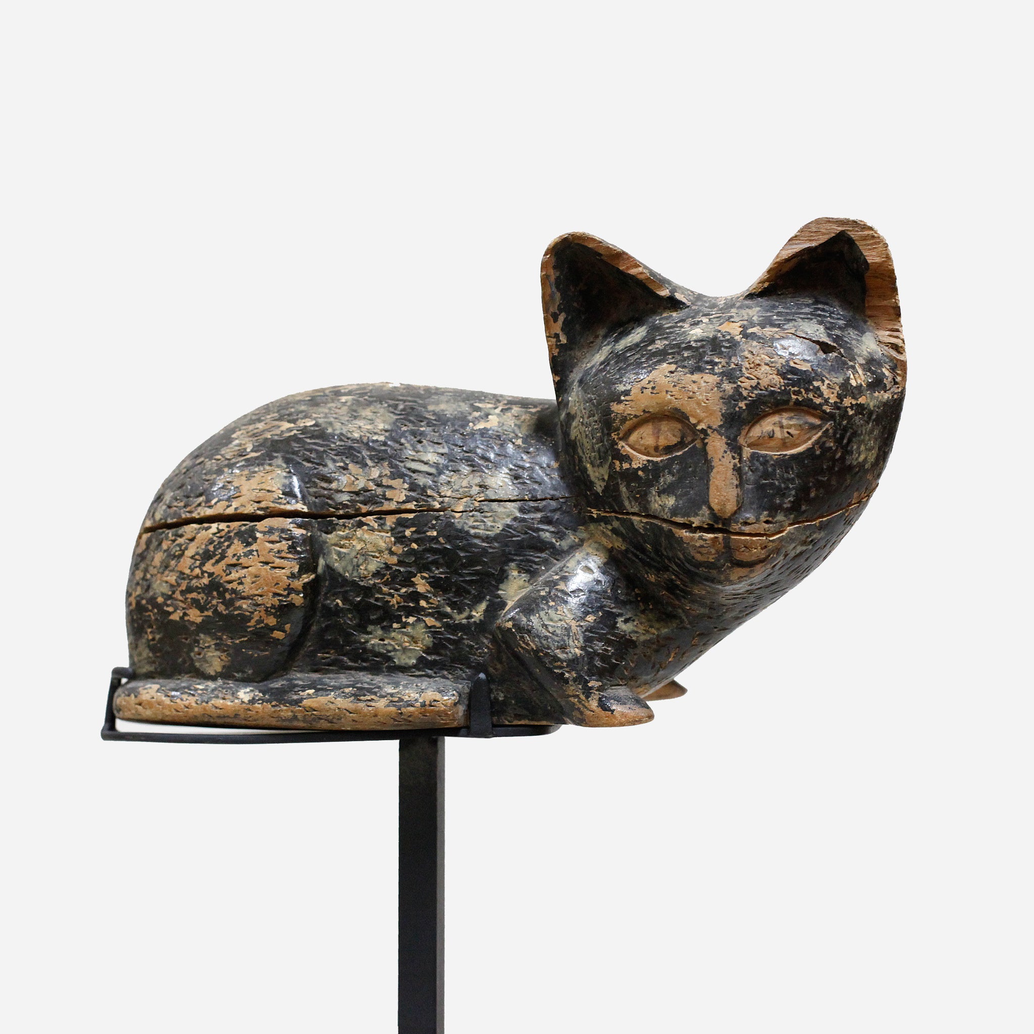 バウレ 族長の猫 f_131