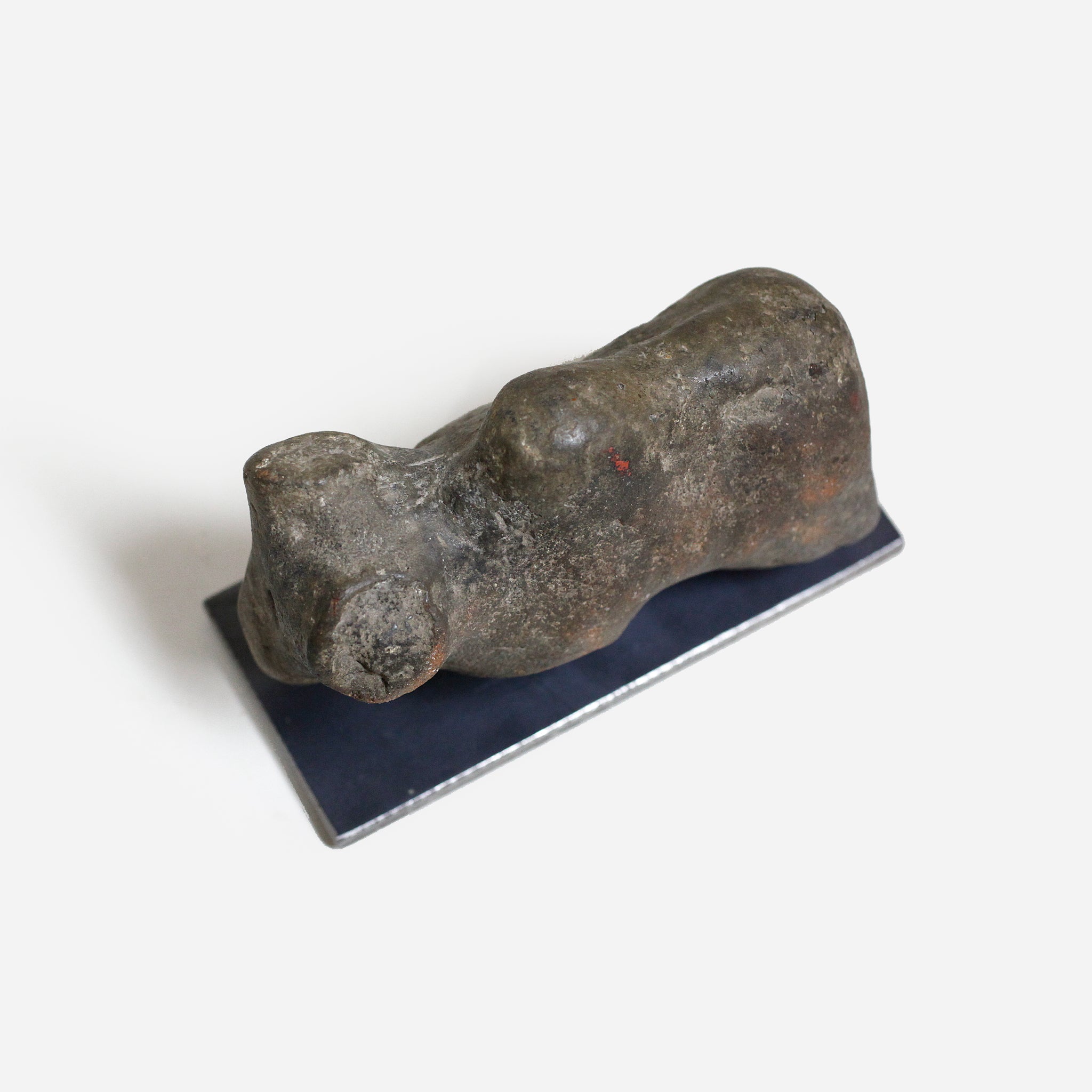 パレ Zoomorphic Zigua o_205